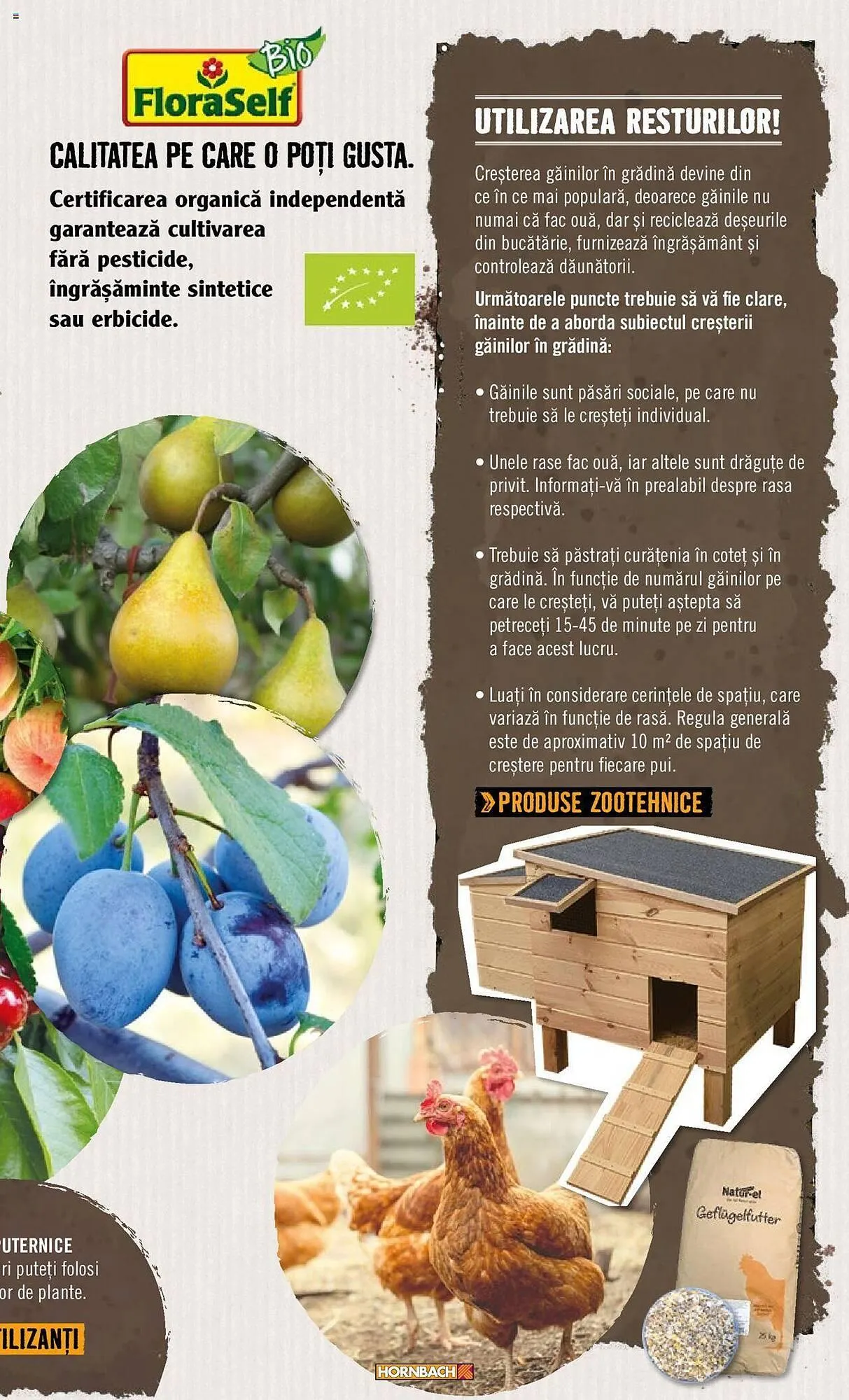 Catalog Сatalog Hornbach de la 22 aprilie până la 31 decembrie 2024 - Revista Pagina 9