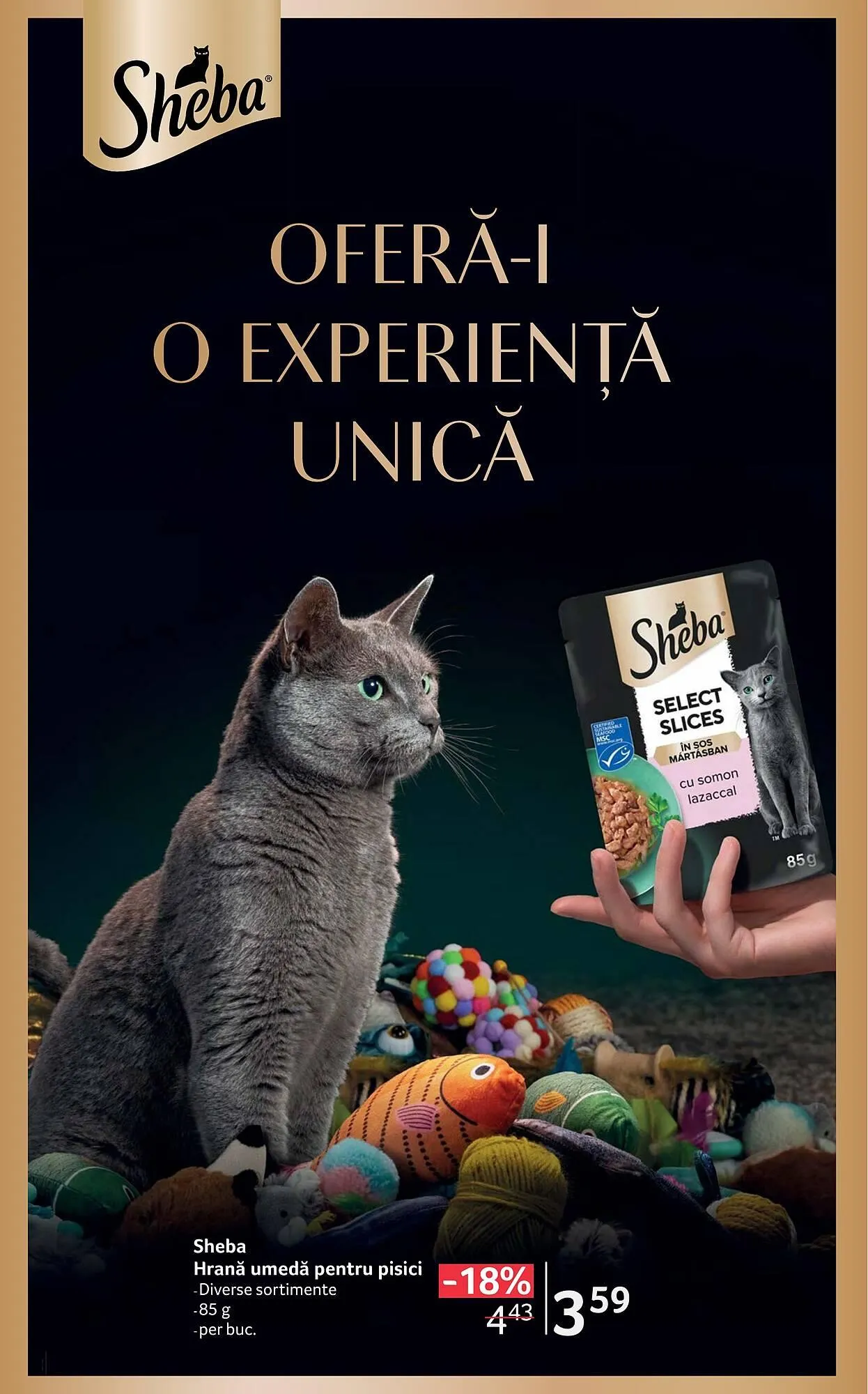 Catalog Catalog Selgros de la 4 aprilie până la 17 aprilie 2025 - Revista Pagina 40