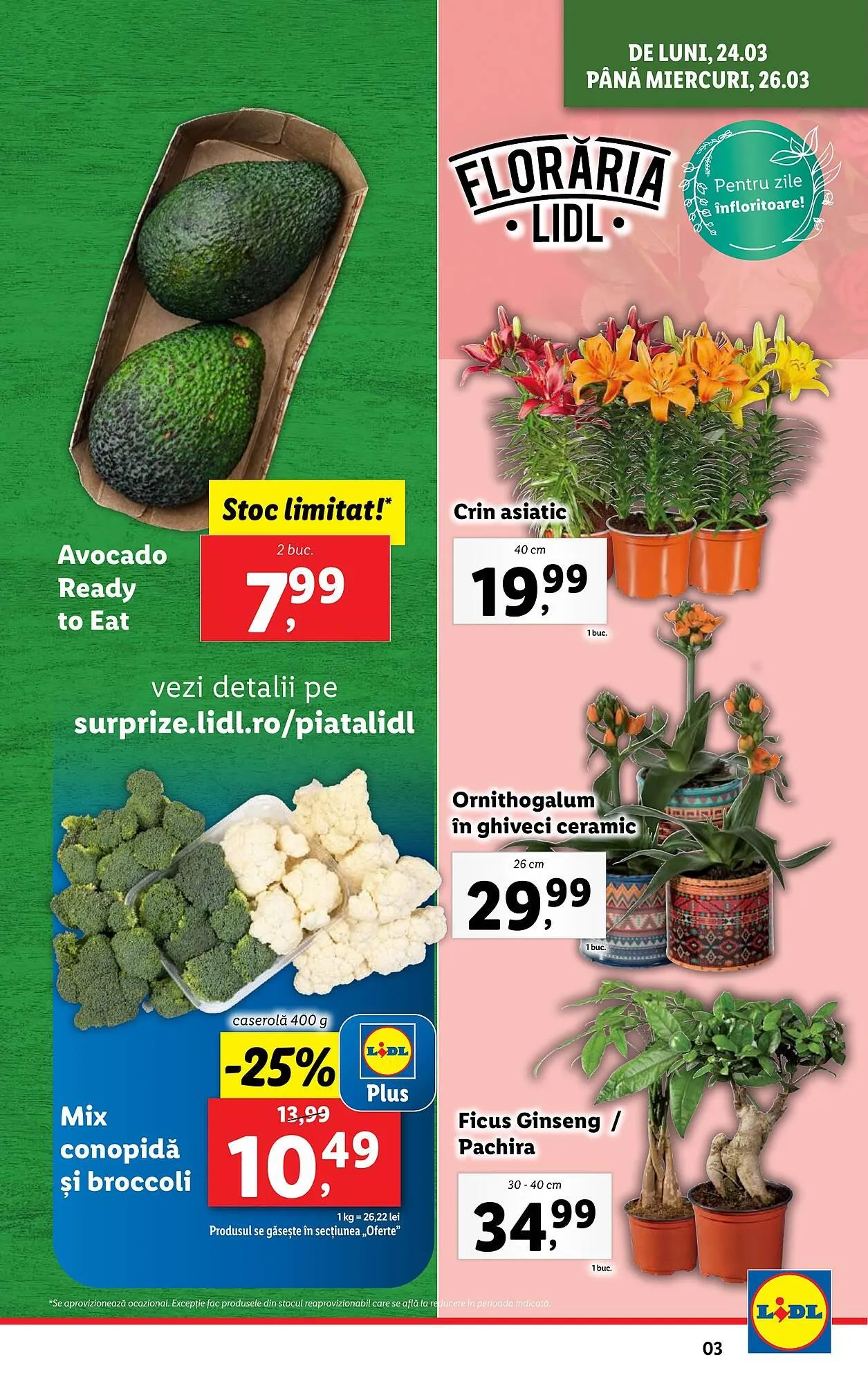 Catalog Catalog Lidl de la 24 martie până la 30 martie 2025 - Revista Pagina 3