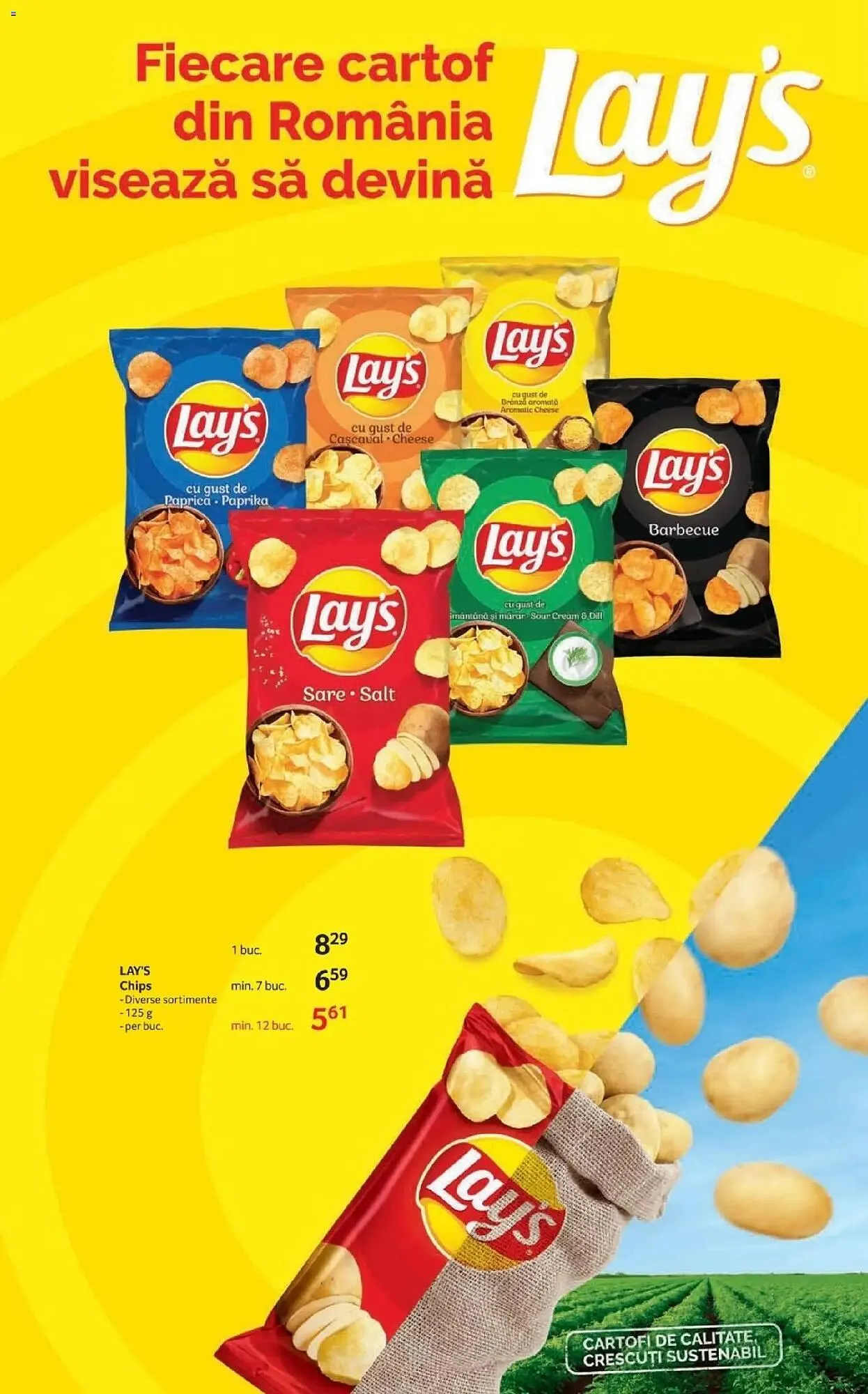 Catalog Catalog Selgros de la 22 ianuarie până la 5 februarie 2026 - Revista Pagina 13