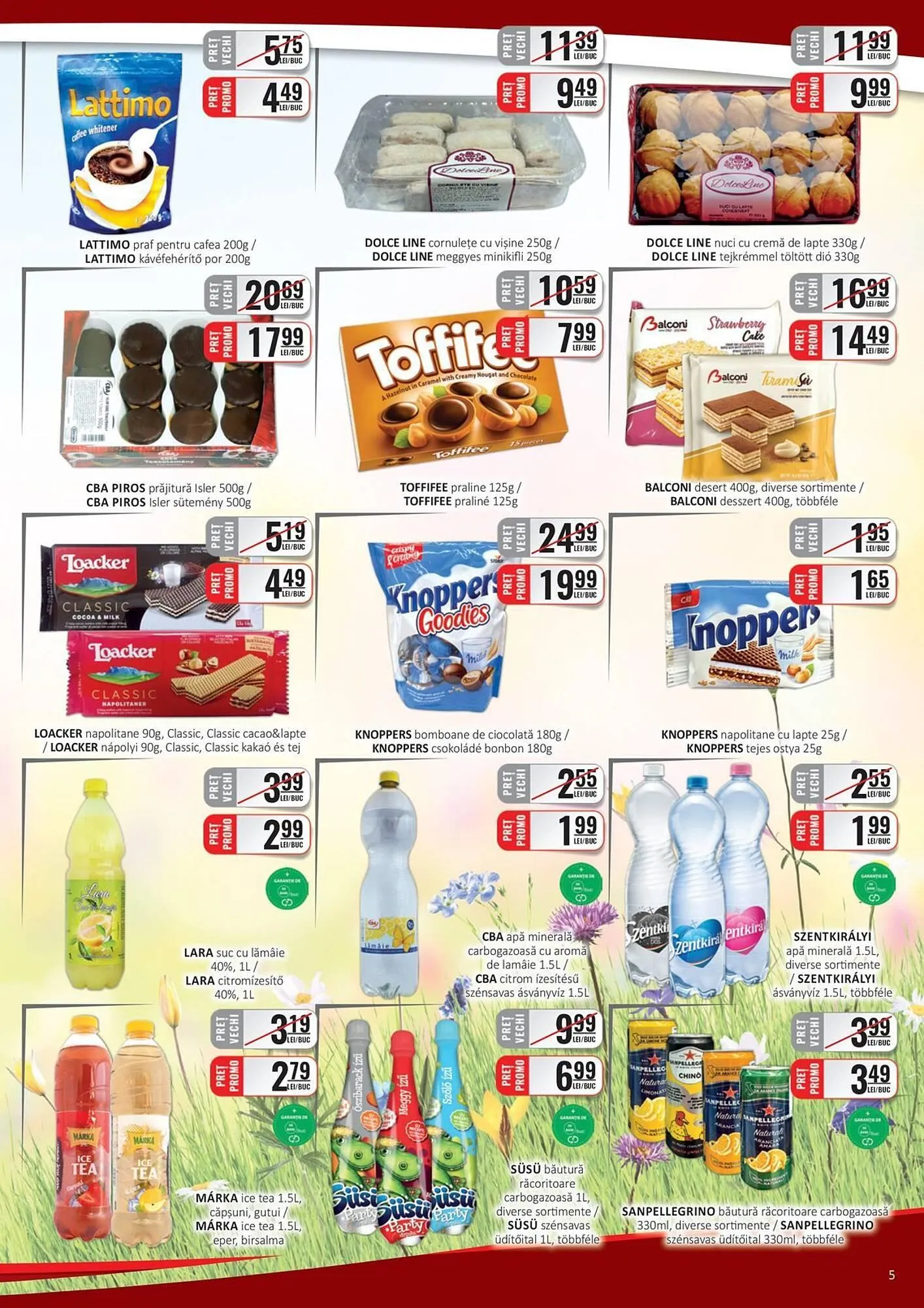 Catalog Catalog CBA de la 1 aprilie până la 15 aprilie 2025 - Revista Pagina 5