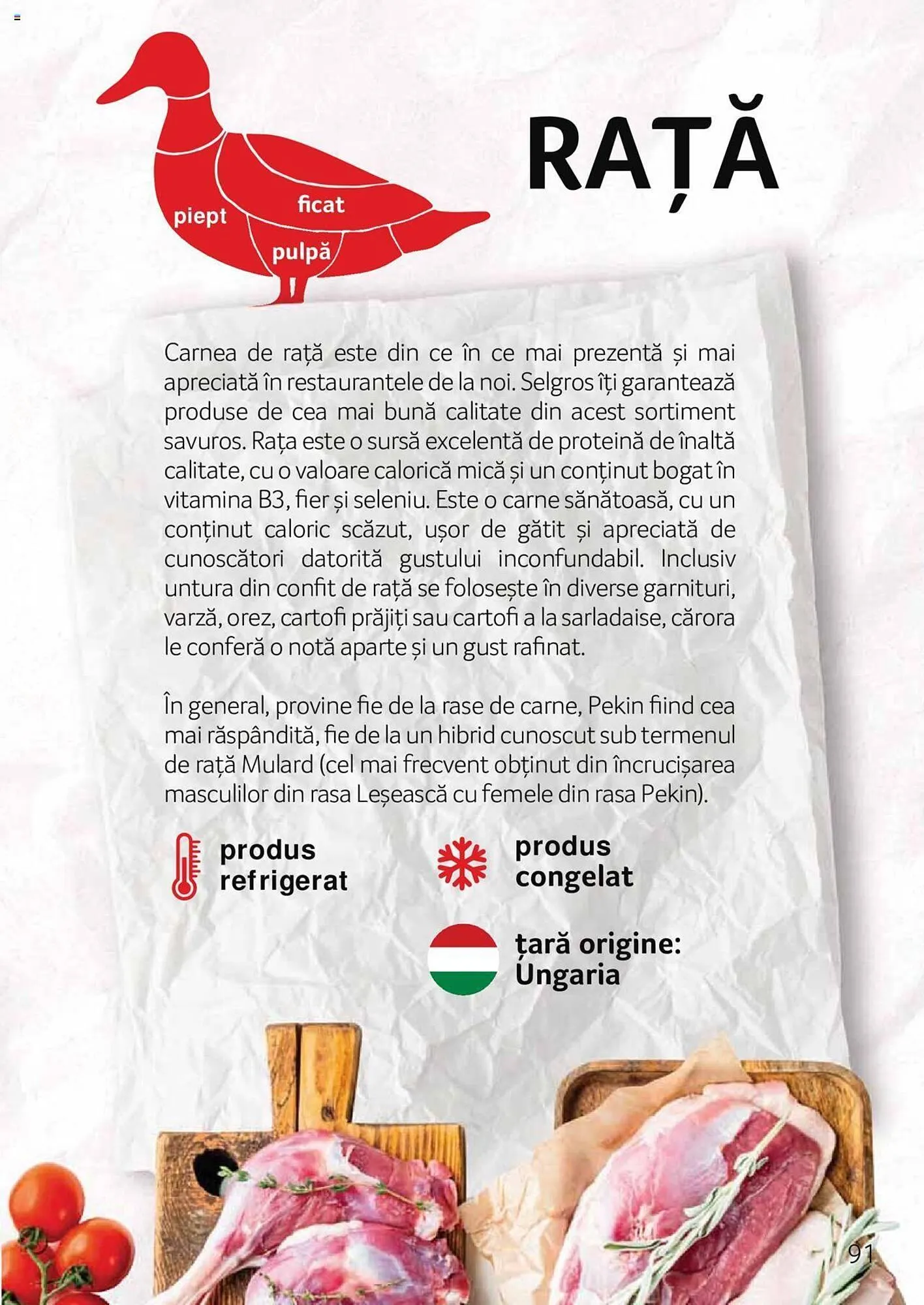 Catalog Selgros catalog de la 27 aprilie până la 31 decembrie 2023 - Revista Pagina 91