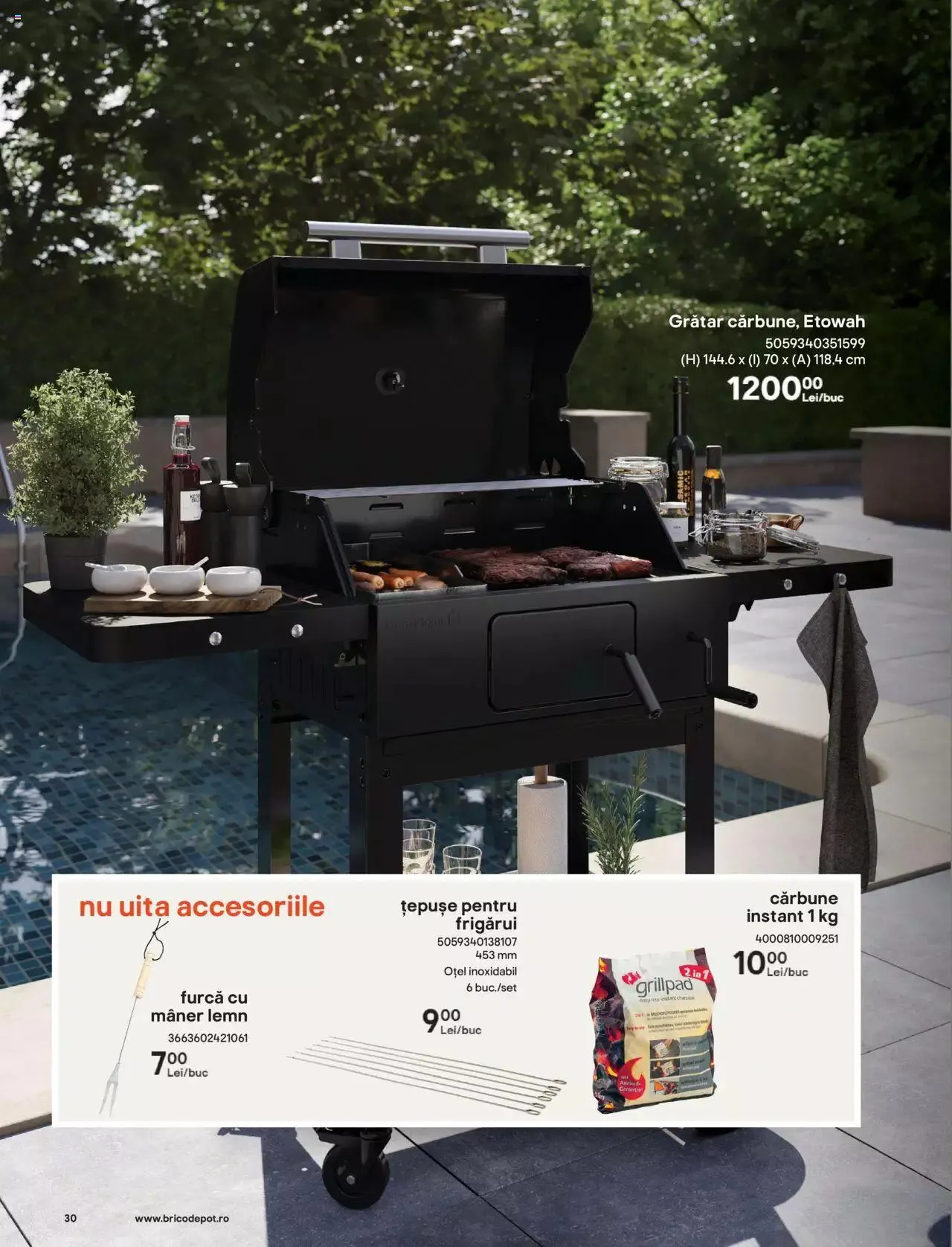Catalog Brico Depot catalog - Bucuria momentelor de la 1 iunie până la 30 septembrie 2023 - Revista Pagina 30