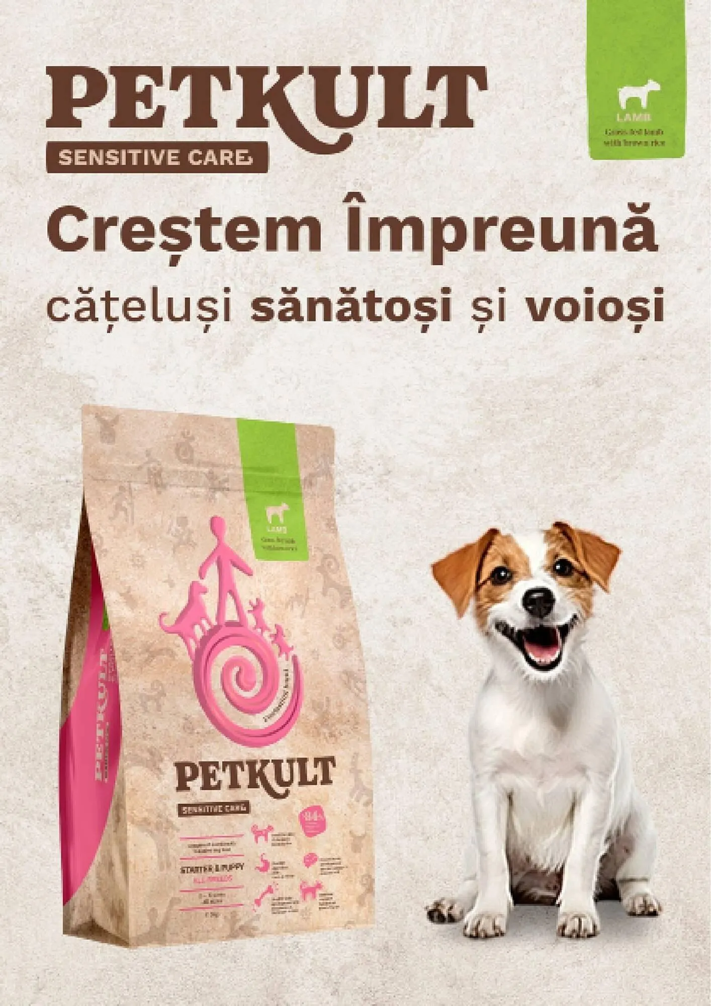 Catalog Magazine Animax de la 4 decembrie până la 4 ianuarie 2026 - Revista Pagina 15