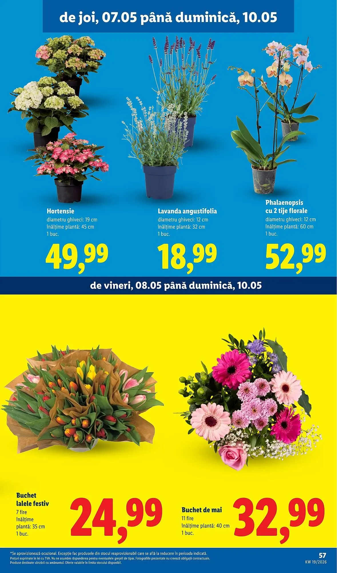 Catalog Catalog Lidl de la 4 mai până la 10 mai 2026 - Revista Pagina 57