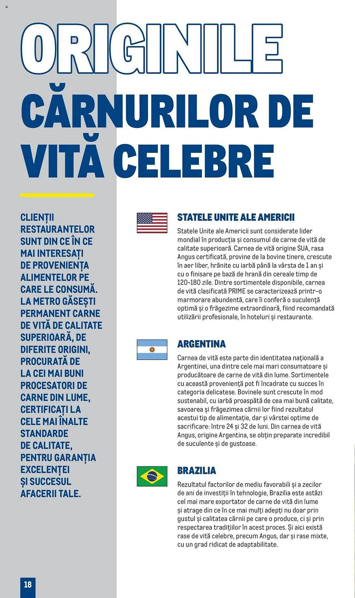 Catalog Metro catalog de la 1 august până la 31 decembrie 2023 - Revista Pagina 18