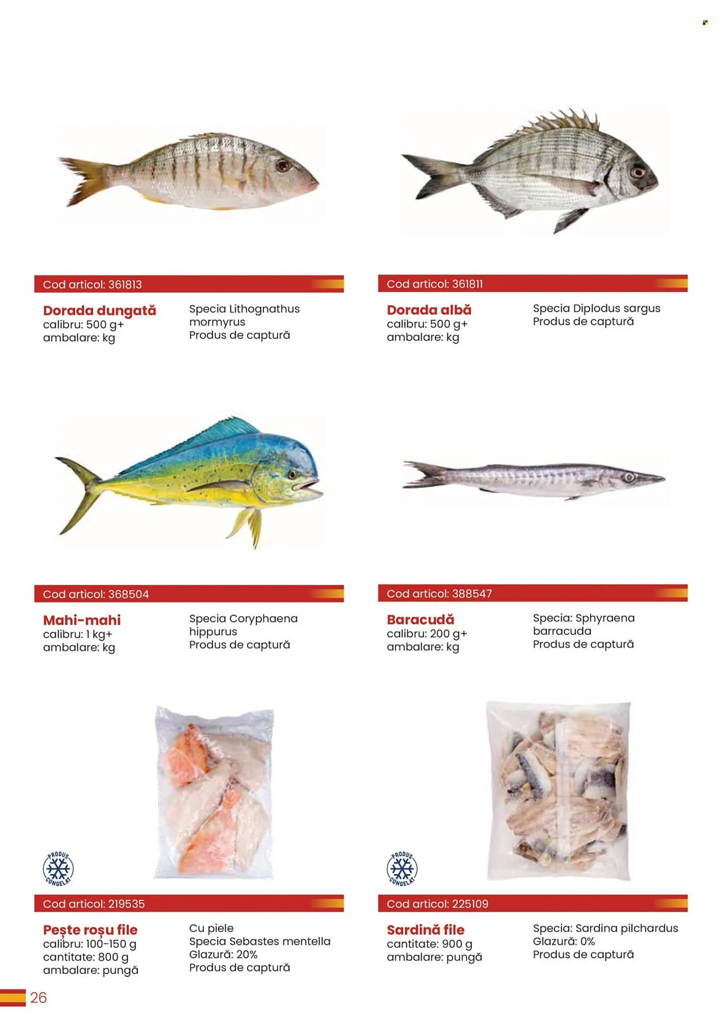 Catalog Catalog Metro de la 30 martie până la 31 decembrie 2026 - Revista Pagina 26