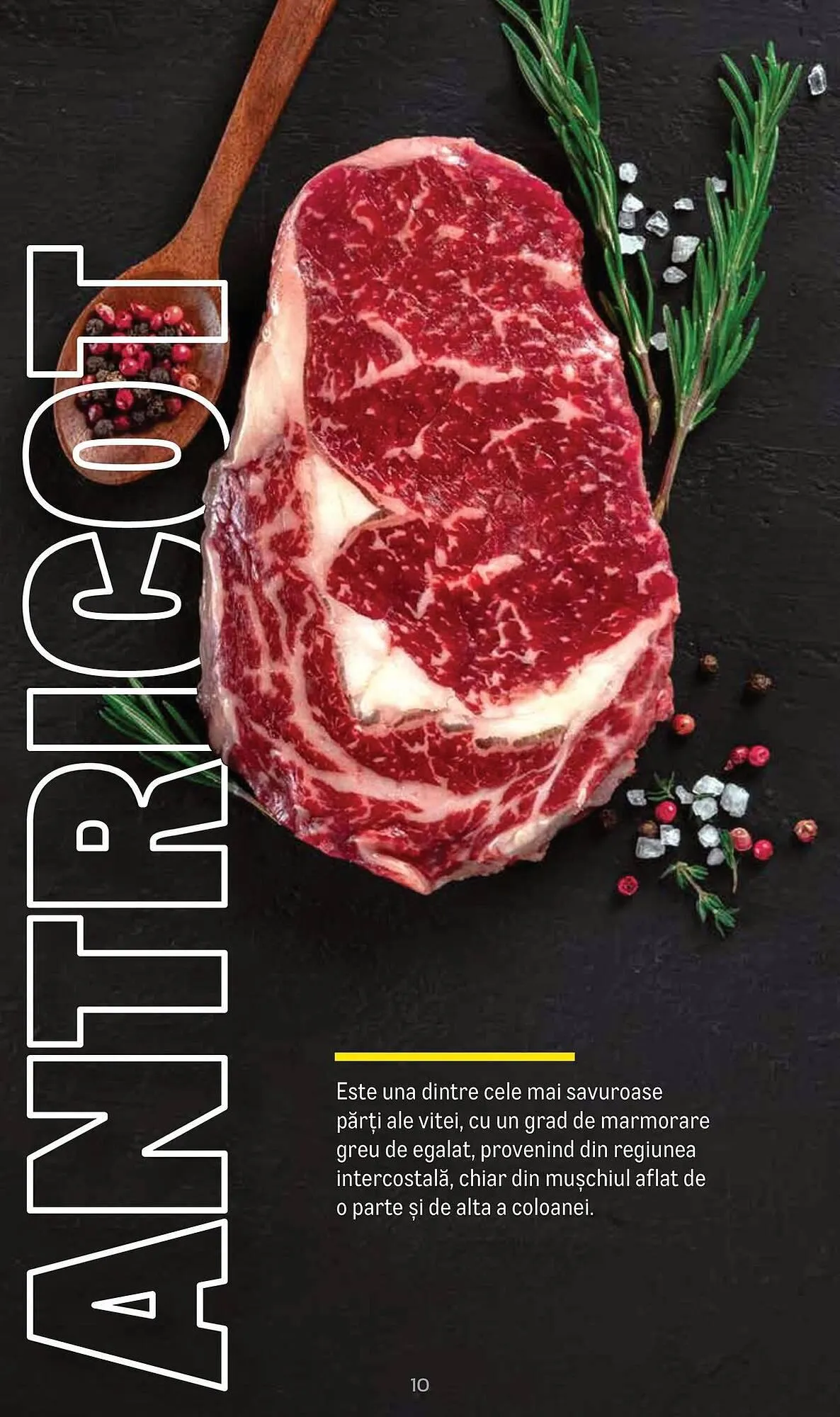 Catalog Catalog Metro de la 9 aprilie până la 31 decembrie 2025 - Revista Pagina 10