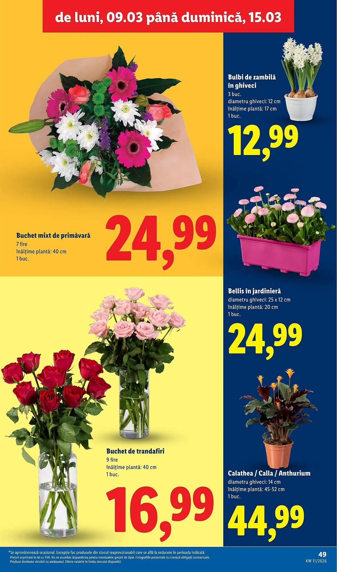 Catalog Catalog Lidl de la 9 martie până la 15 martie 2026 - Revista Pagina 49