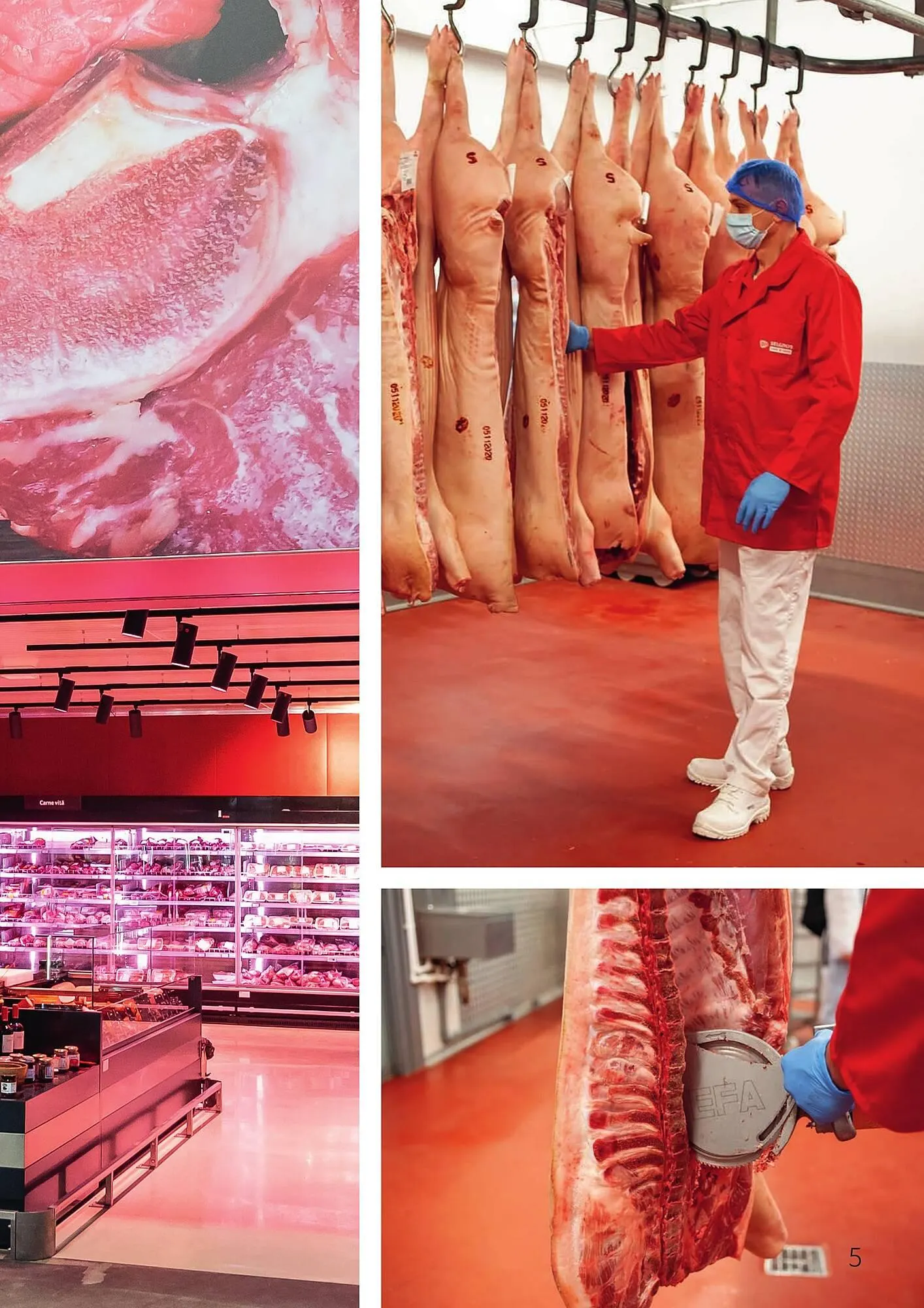 Catalog Catalog Selgros de la 3 octombrie până la 28 ianuarie 2026 - Revista Pagina 5