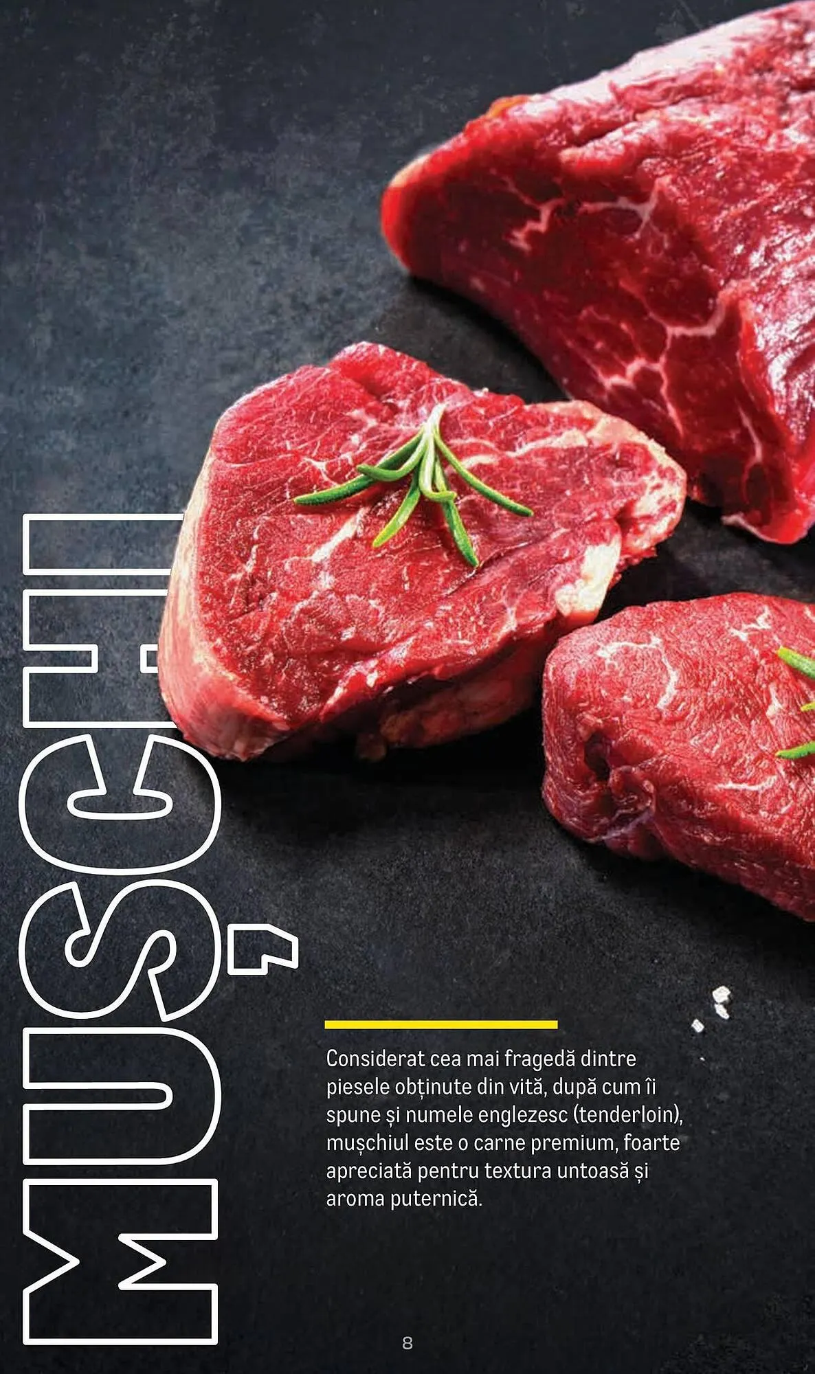 Catalog Catalog Metro de la 9 aprilie până la 31 decembrie 2025 - Revista Pagina 8