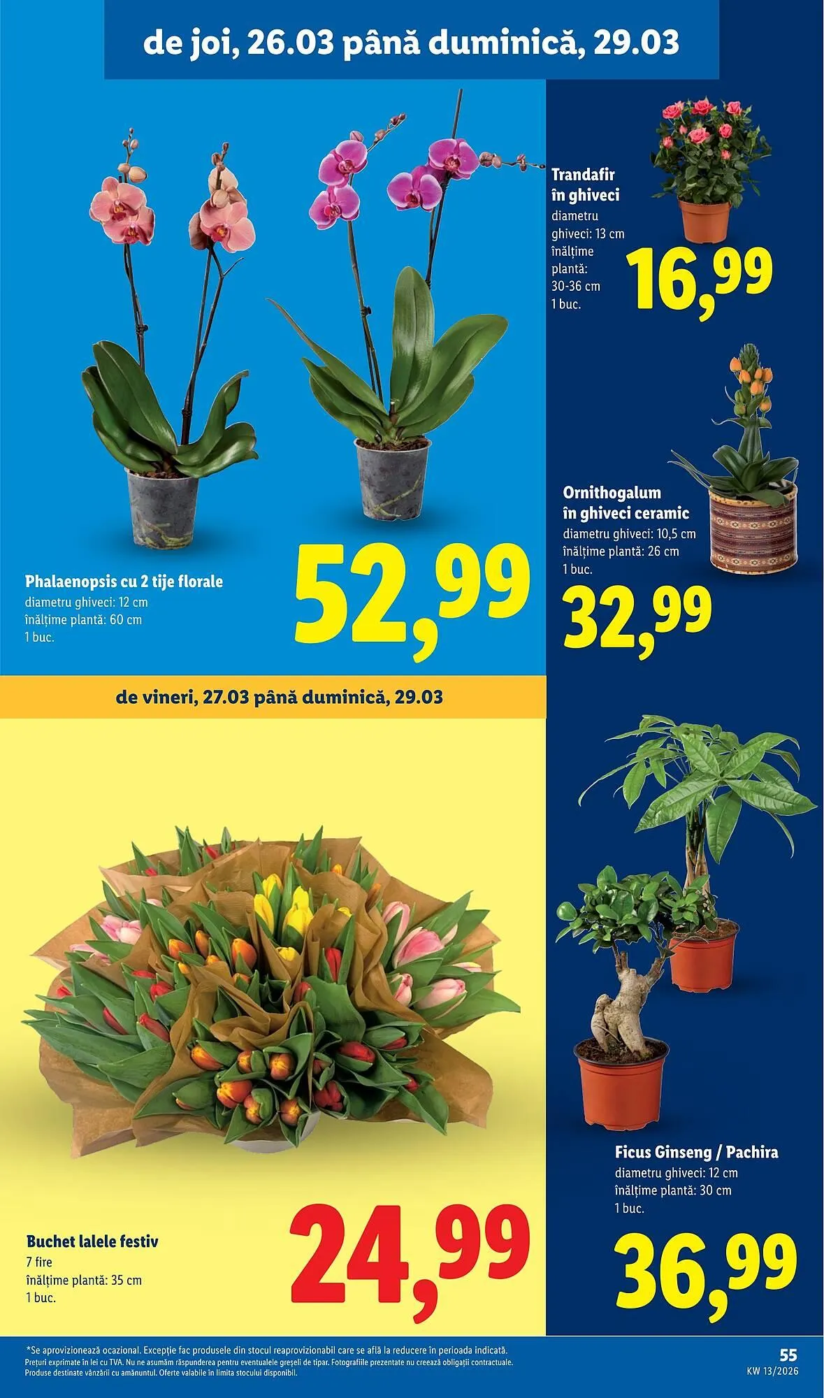 Catalog Catalog Lidl de la 23 martie până la 29 martie 2026 - Revista Pagina 55