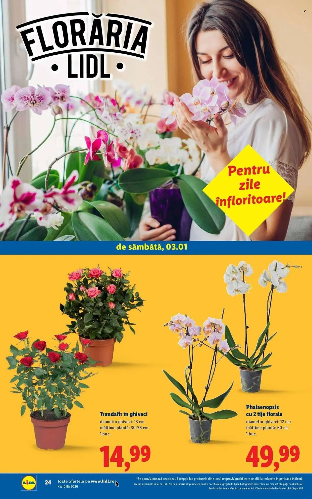 Catalog Catalog Lidl de la 2 ianuarie până la 4 ianuarie 2026 - Revista Pagina 24
