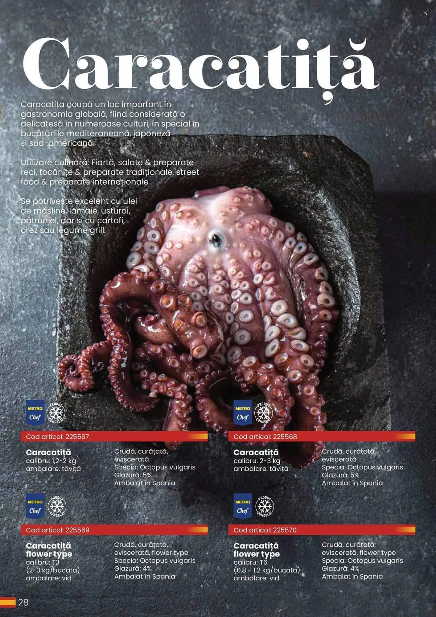 Catalog Catalog Metro de la 30 martie până la 31 decembrie 2026 - Revista Pagina 28