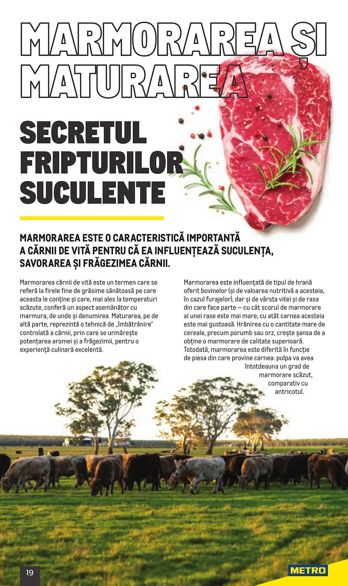 Catalog Metro catalog de la 20 iulie până la 31 decembrie 2023 - Revista Pagina 19