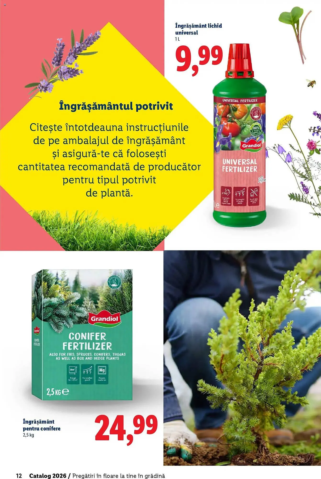 Catalog Catalog Lidl de la 18 februarie până la 5 aprilie 2026 - Revista Pagina 12