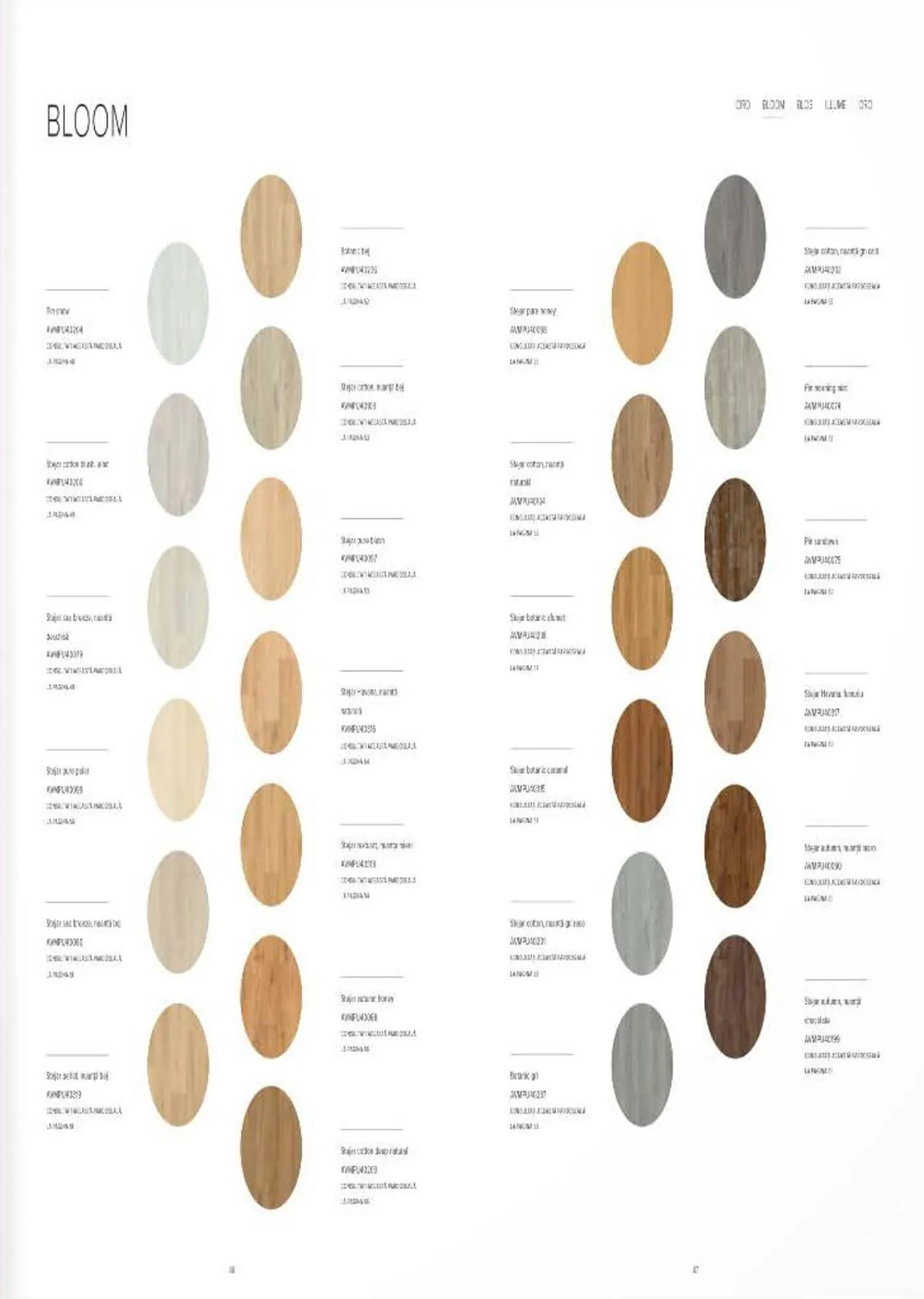 Catalog Proges catalog de la 27 octombrie până la 31 decembrie 2023 - Revista Pagina 25