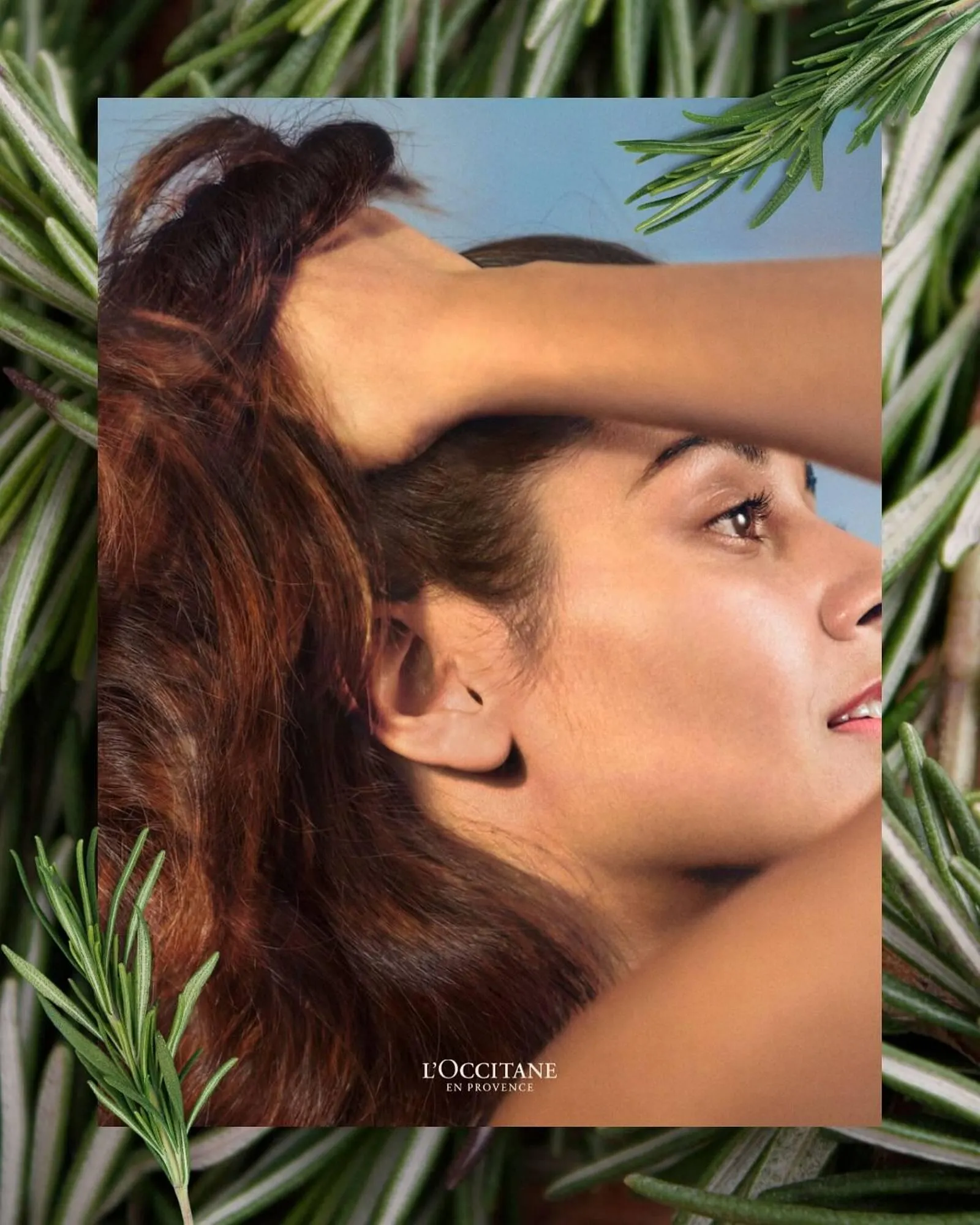 Catalog Catalog L'OCCITANE de la 14 martie până la 23 martie 2025 - Revista Pagina 2