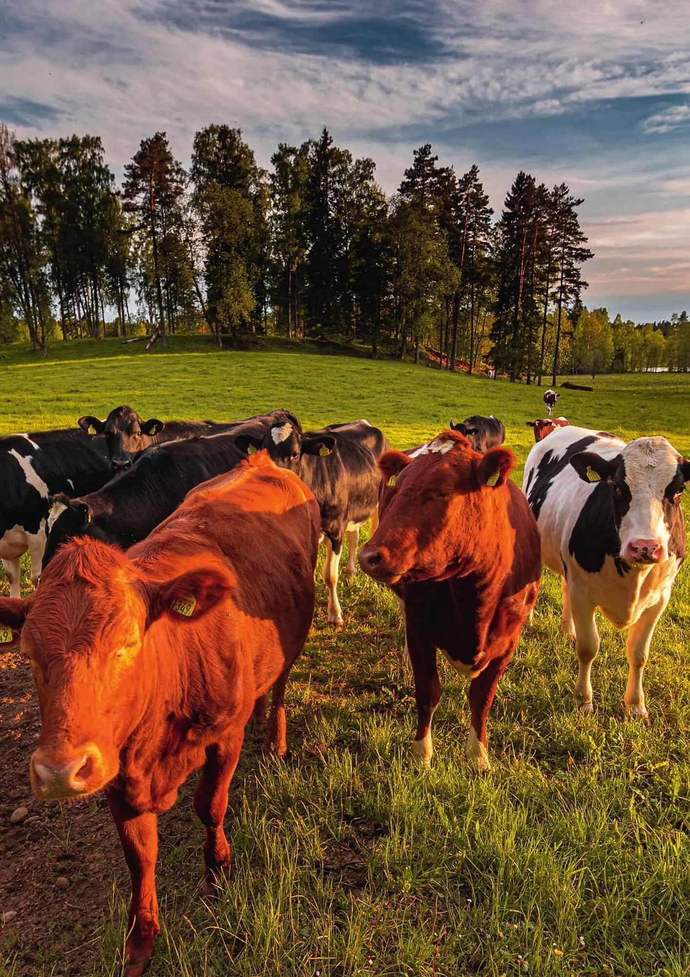 Catalog Catalog Selgros de la 3 octombrie până la 30 noiembrie 2025 - Revista Pagina 27