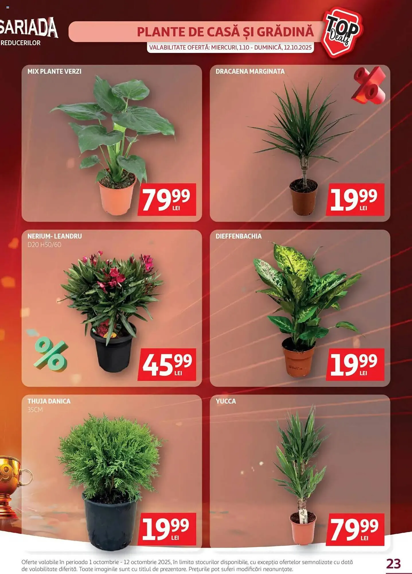 Catalog Catalog Auchan de la 1 octombrie până la 12 octombrie 2025 - Revista Pagina 23