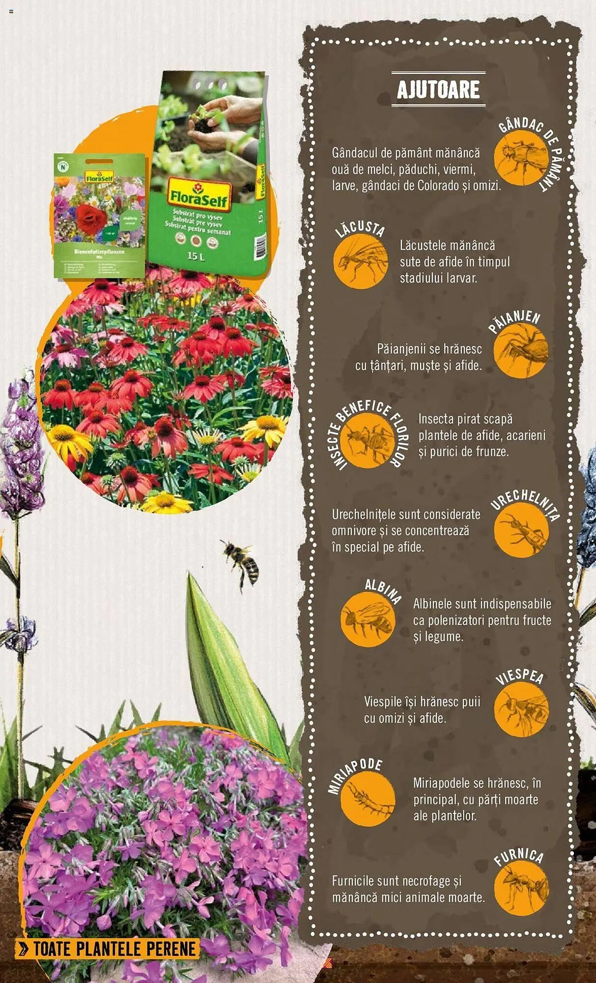 Catalog Сatalog Hornbach de la 22 aprilie până la 31 decembrie 2024 - Revista Pagina 13