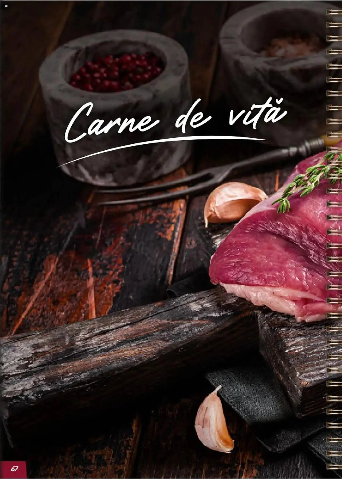 Catalog Sergiana Grup - 1