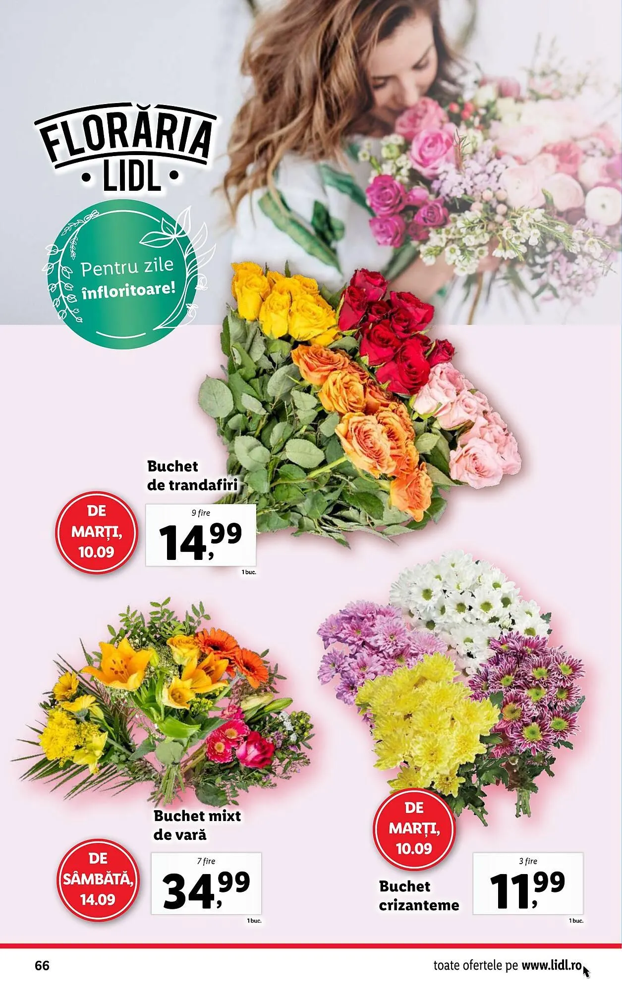 Catalog Catalog Lidl de la 9 septembrie până la 15 septembrie 2024 - Revista Pagina 66