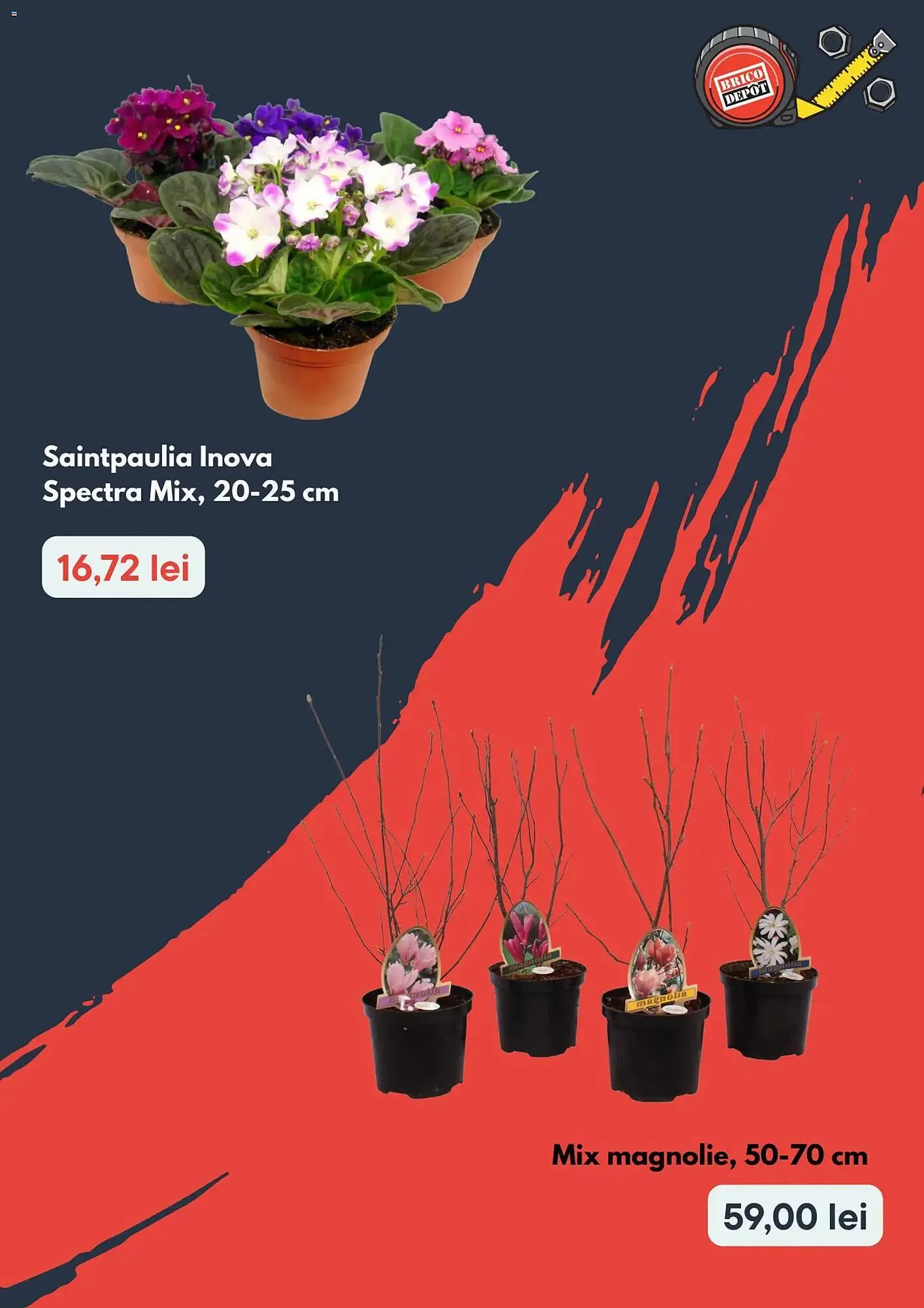 Catalog Catalog Brico Depôt de la 4 martie până la 18 martie 2026 - Revista Pagina 2