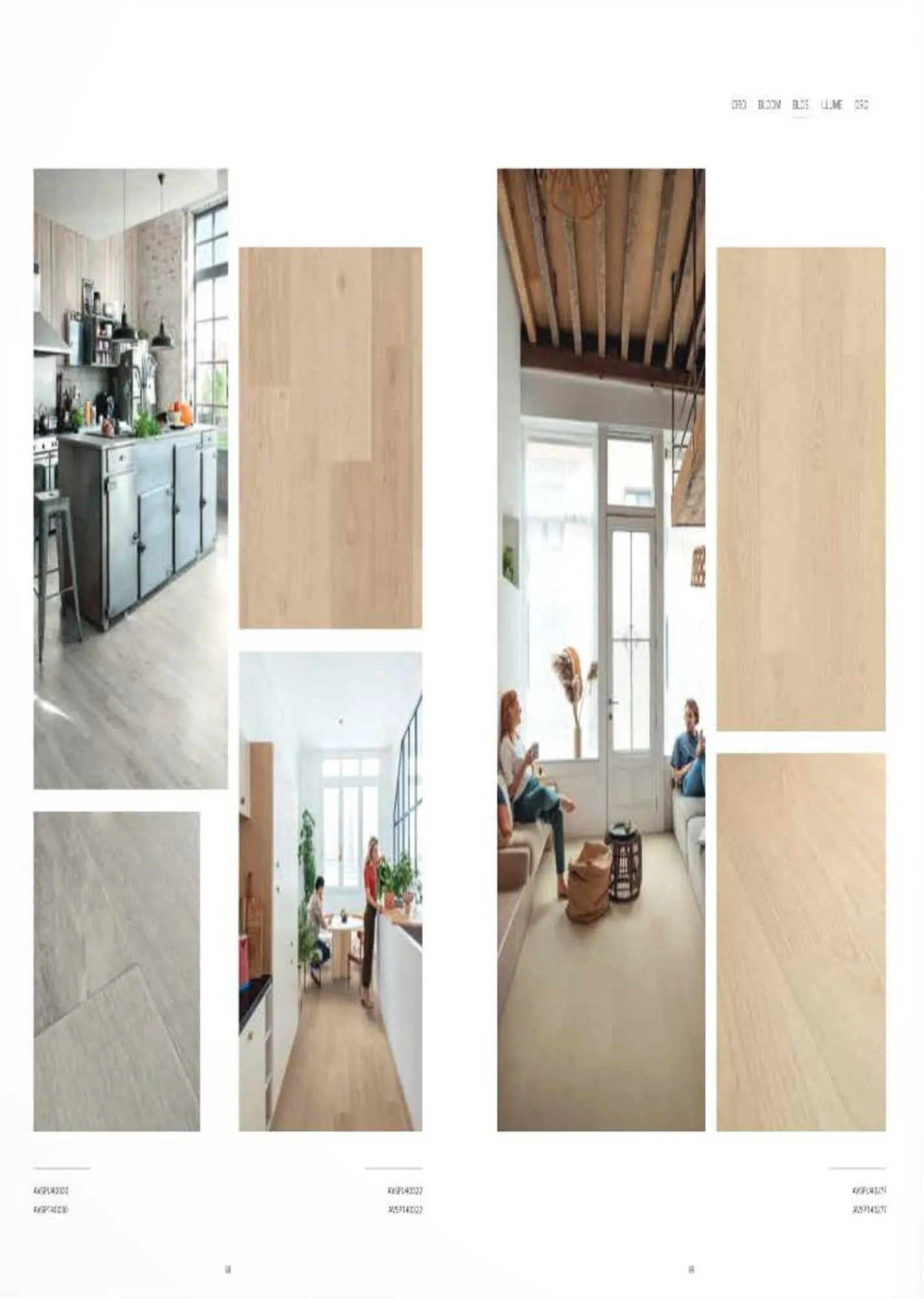 Catalog Proges catalog de la 27 octombrie până la 31 decembrie 2023 - Revista Pagina 36