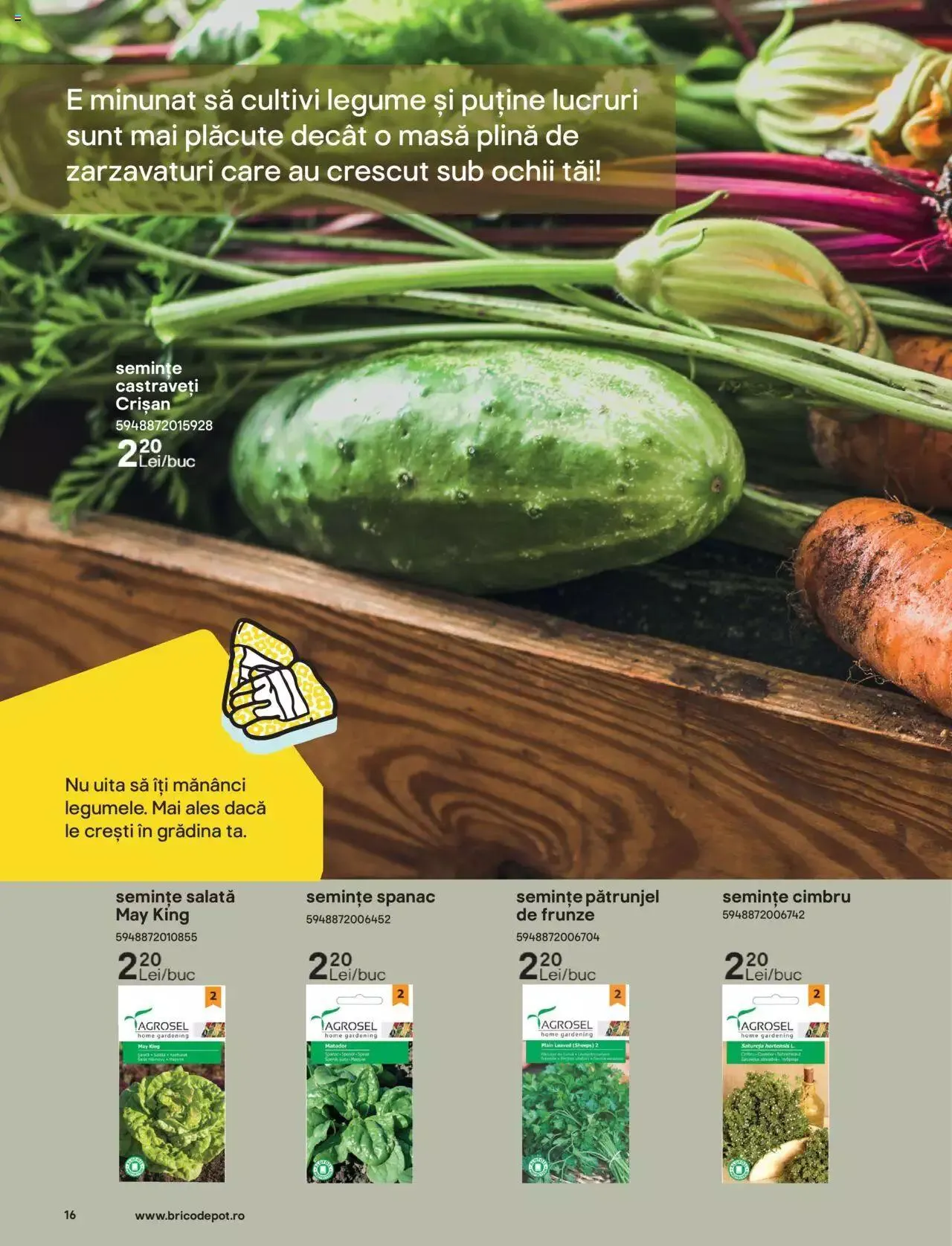 Catalog Brico Depot catalog - Grădină de la 7 aprilie până la 30 septembrie 2023 - Revista Pagina 16