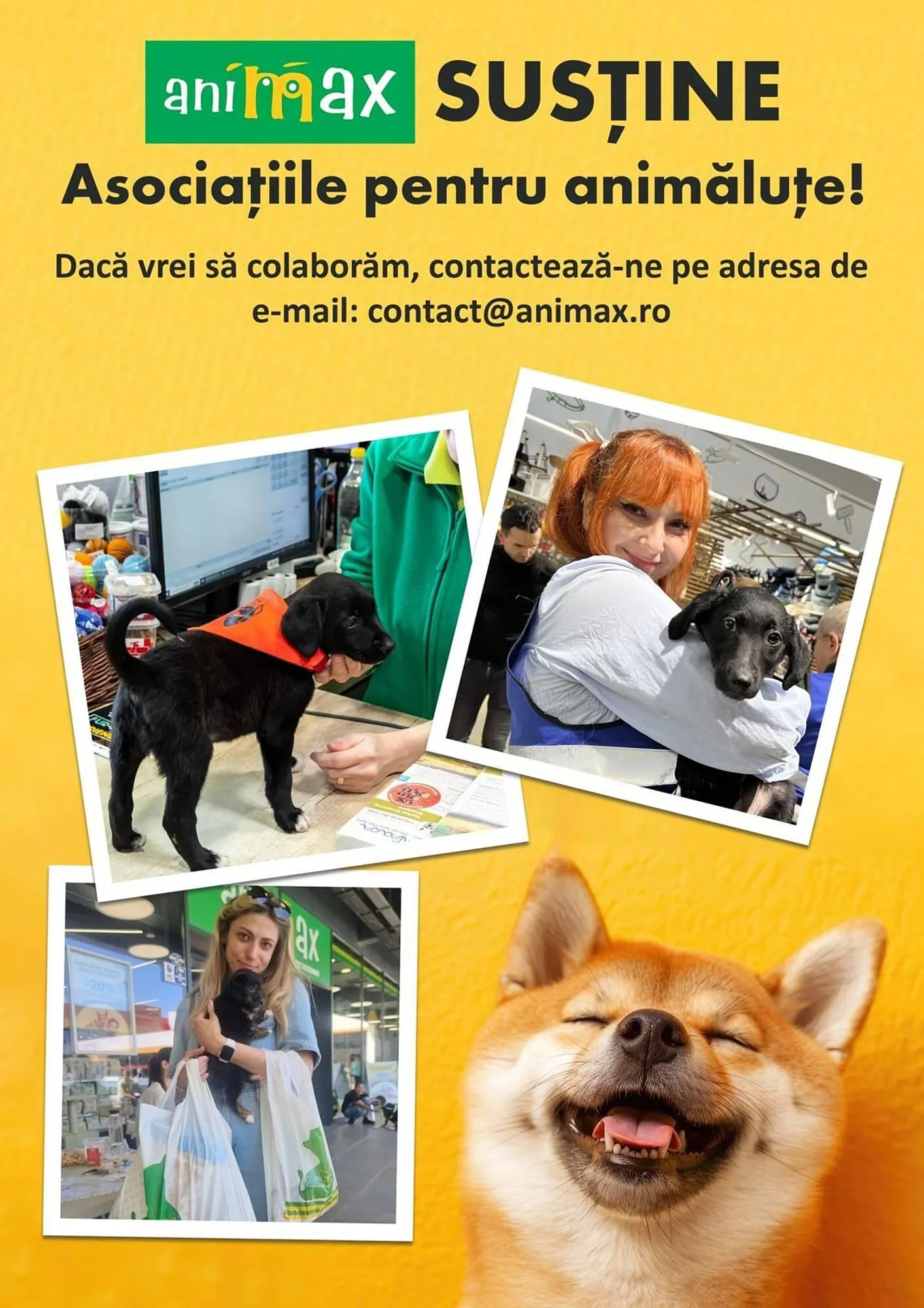 Catalog Catalog Animax de la 5 noiembrie până la 19 noiembrie 2024 - Revista Pagina 16