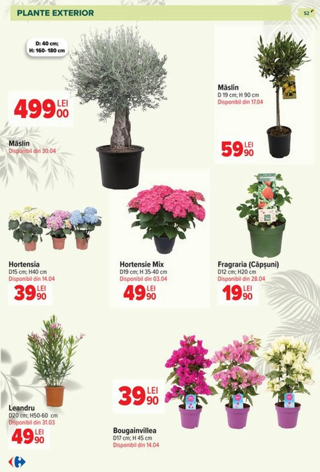 Catalog Catalog Carrefour de la 11 martie până la 12 mai 2026 - Revista Pagina 52