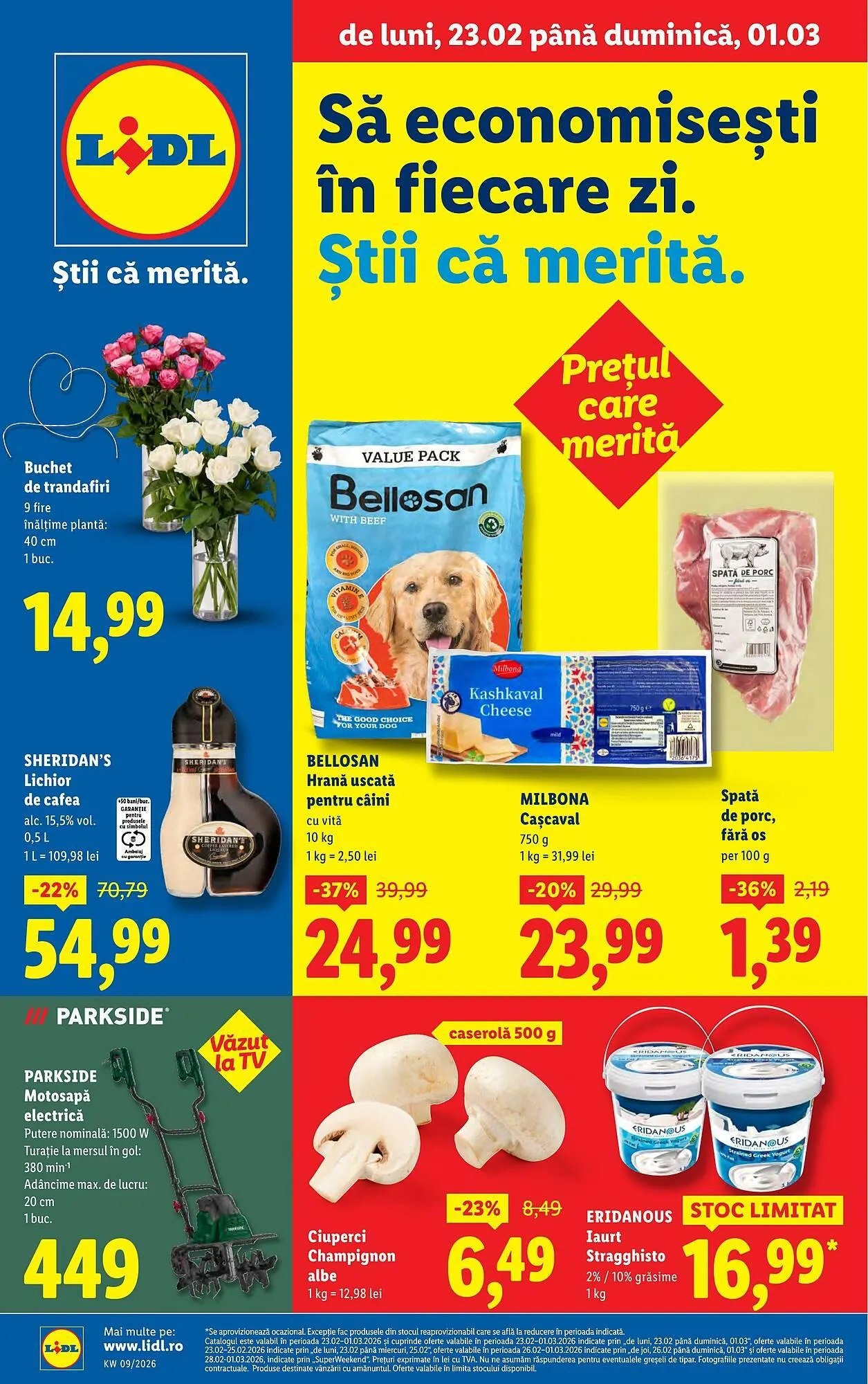 Catalog Lidl - 1