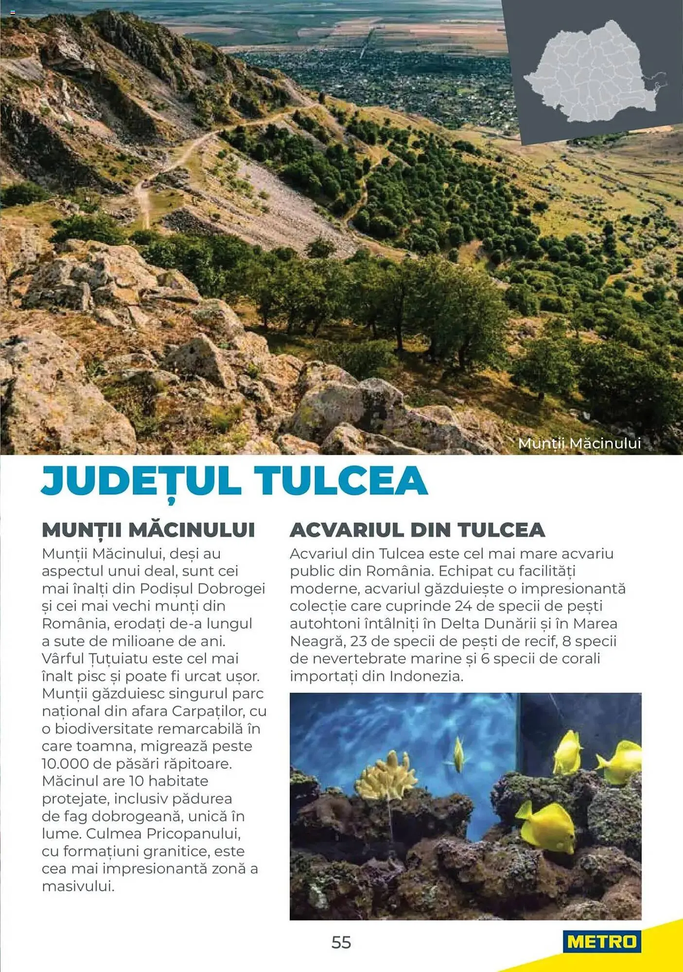 Catalog Catalog Metro de la 31 iulie până la 31 decembrie 2026 - Revista Pagina 55