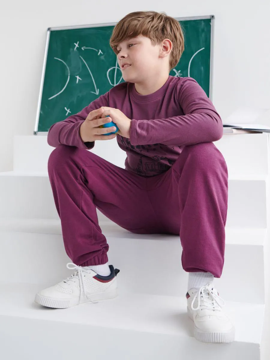 Pantaloni sport jogger Harvard