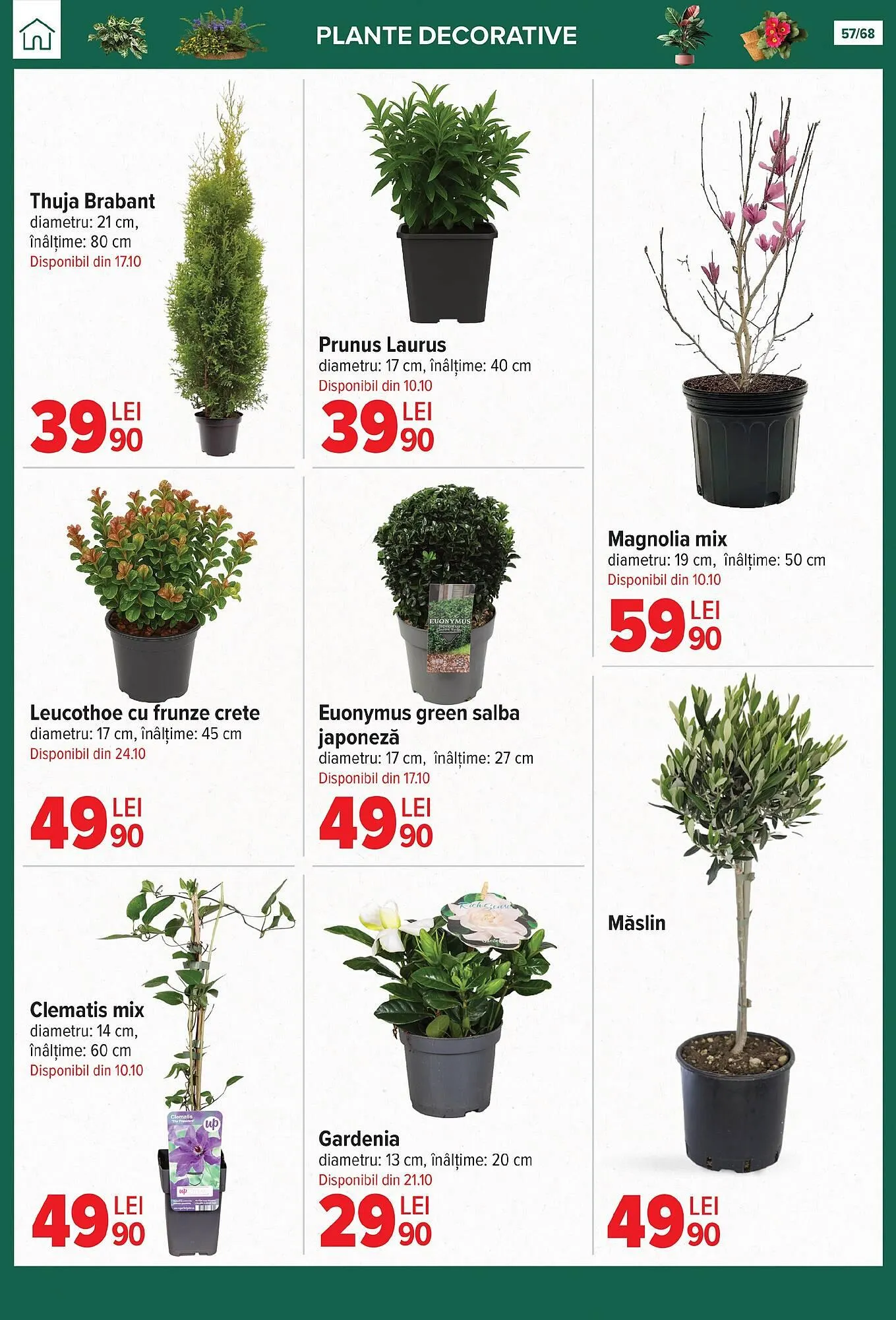 Catalog Catalog Carrefour de la 24 septembrie până la 28 octombrie 2025 - Revista Pagina 57