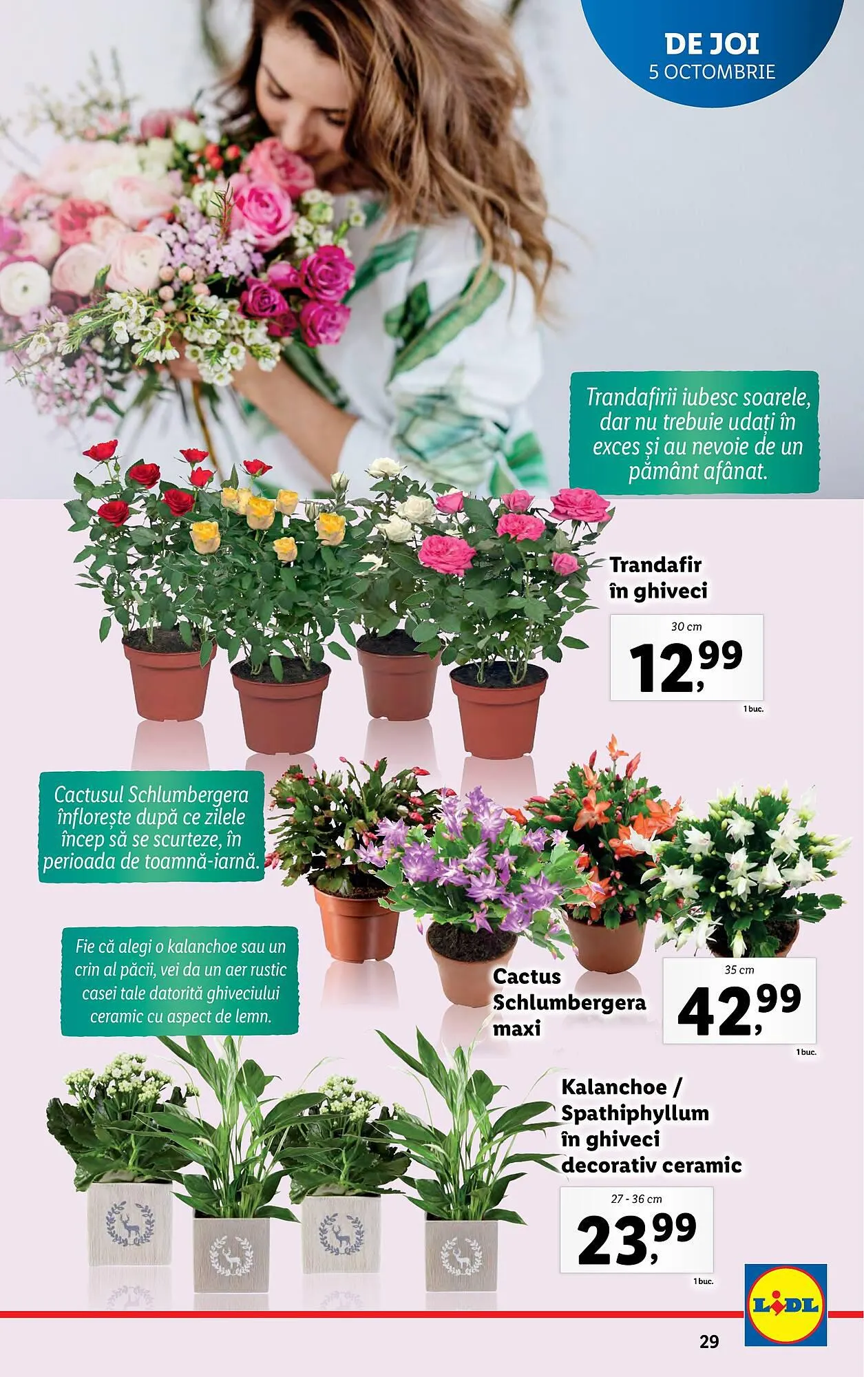 Catalog Lidl catalog de la 2 octombrie până la 8 octombrie 2023 - Revista Pagina 29