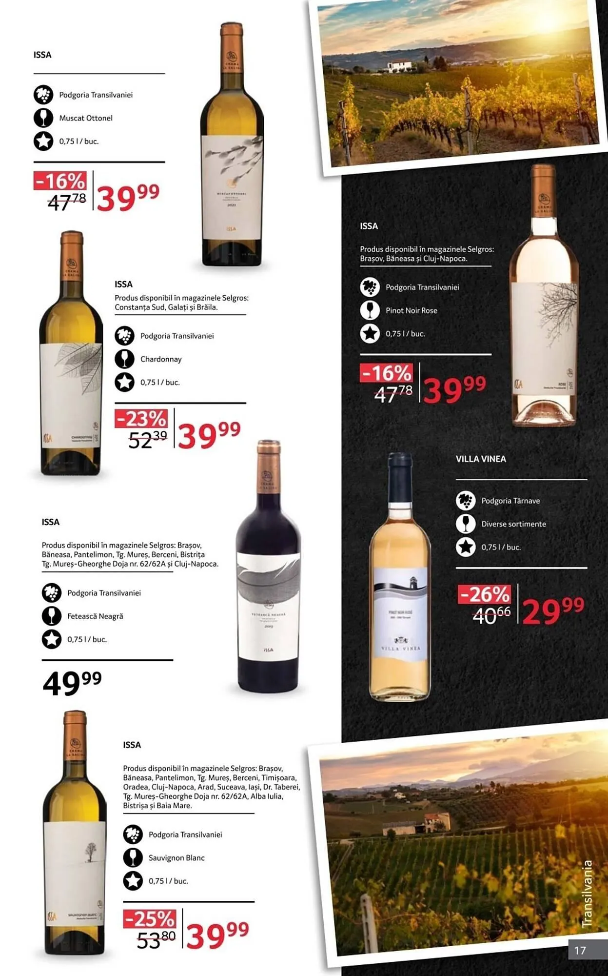 Catalog Catalog Selgros de la 1 octombrie până la 31 octombrie 2025 - Revista Pagina 17