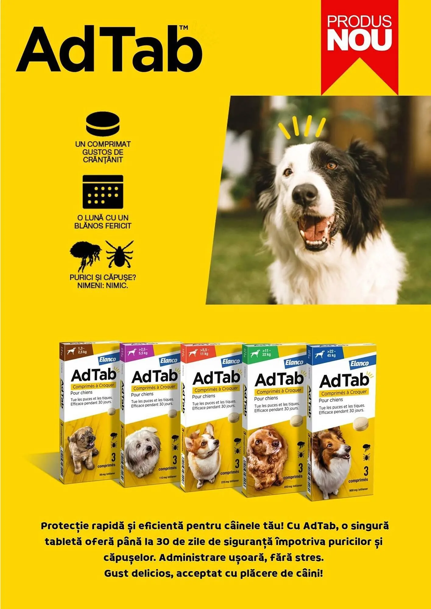 Catalog Catalog Animax de la 1 aprilie până la 30 aprilie 2025 - Revista Pagina 15