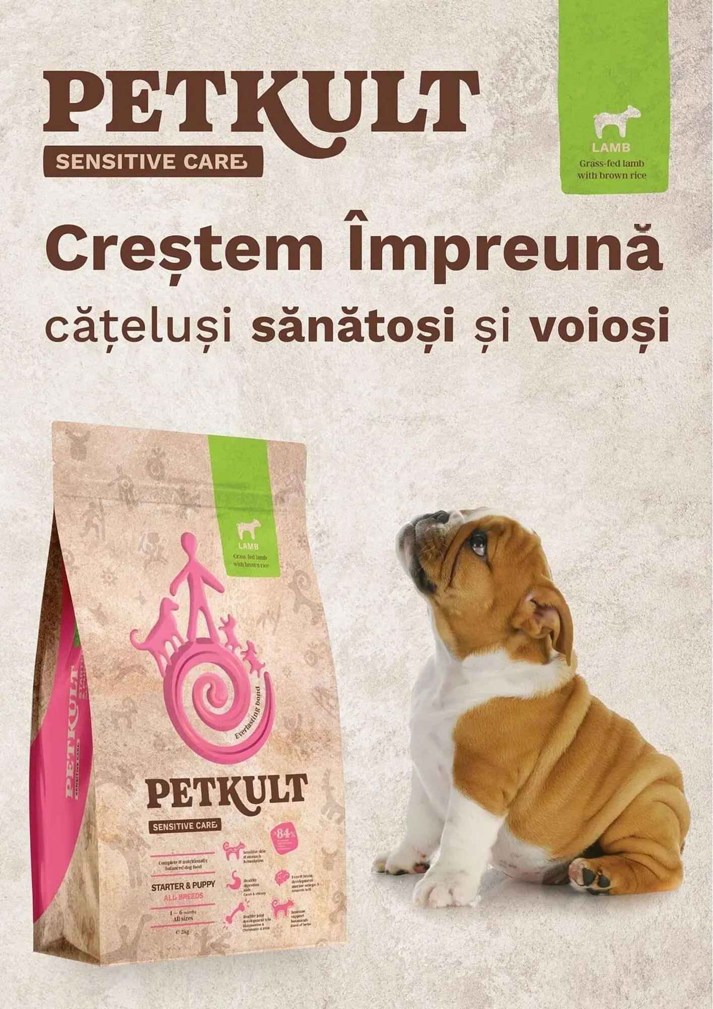 Catalog Catalog Animax de la 2 septembrie până la 30 septembrie 2024 - Revista Pagina 4