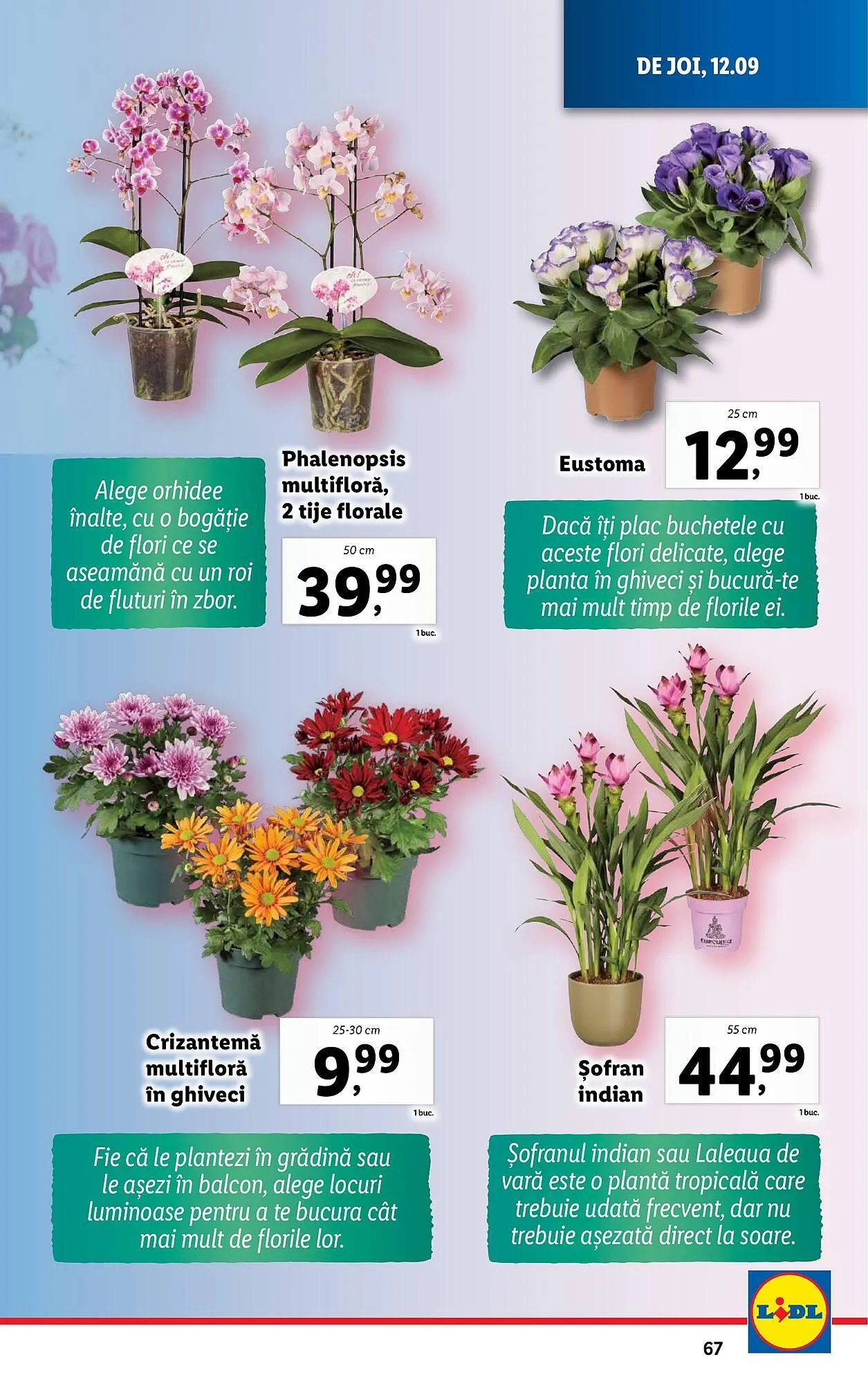 Catalog Catalog Lidl de la 9 septembrie până la 15 septembrie 2024 - Revista Pagina 67