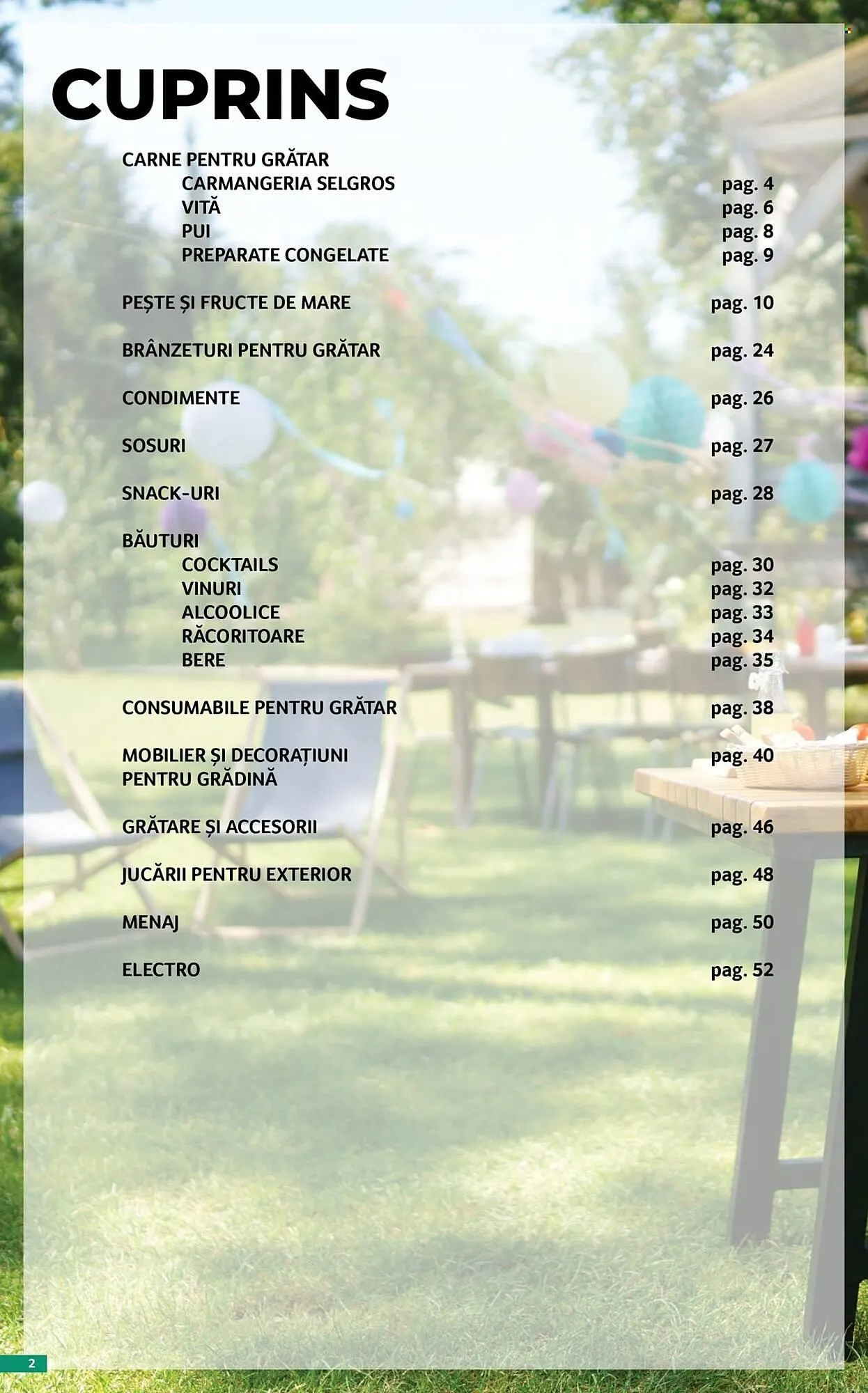 Catalog Catalog Selgros de la 17 aprilie până la 14 mai 2026 - Revista Pagina 2