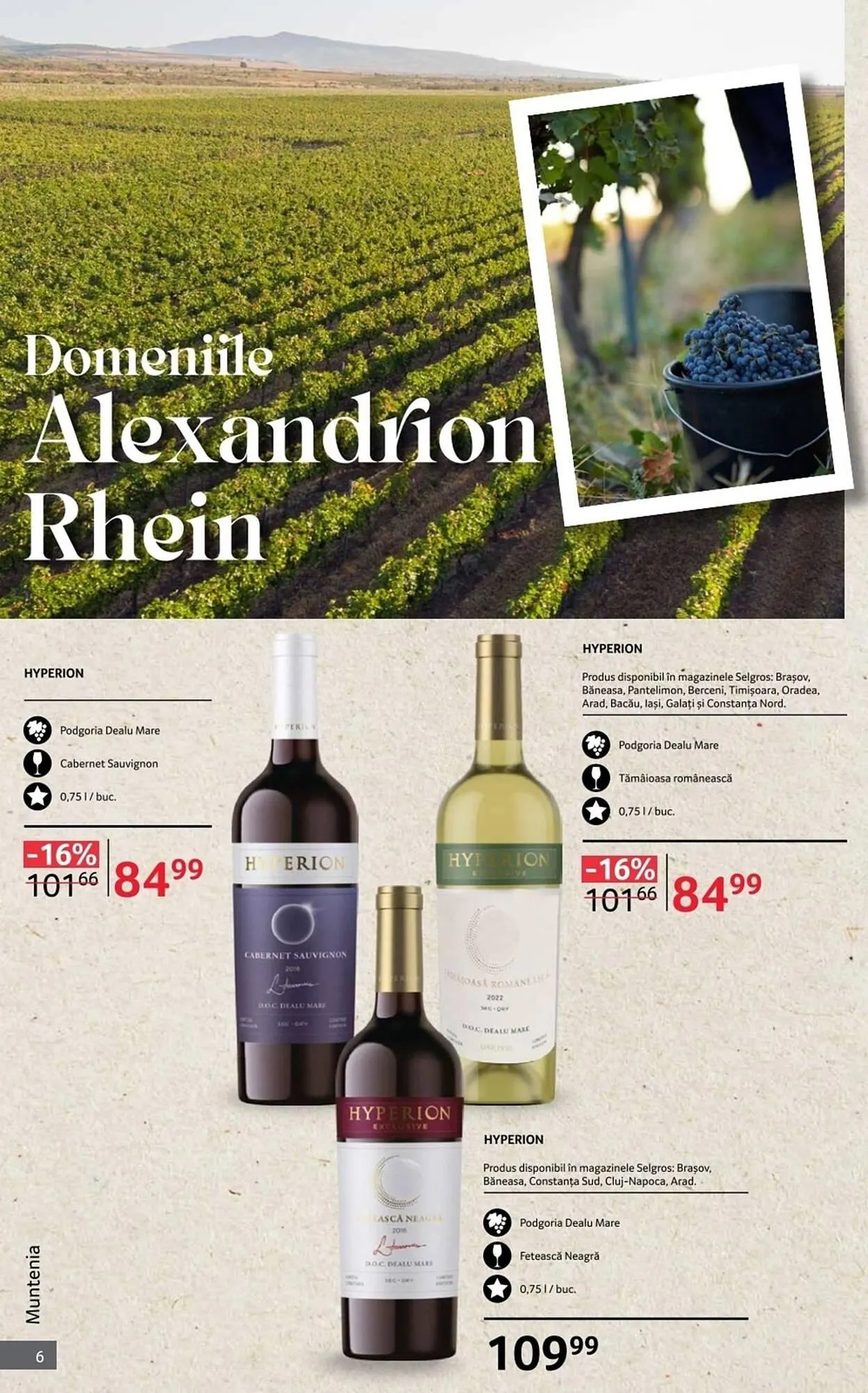 Catalog Catalog Selgros de la 1 octombrie până la 31 octombrie 2025 - Revista Pagina 6