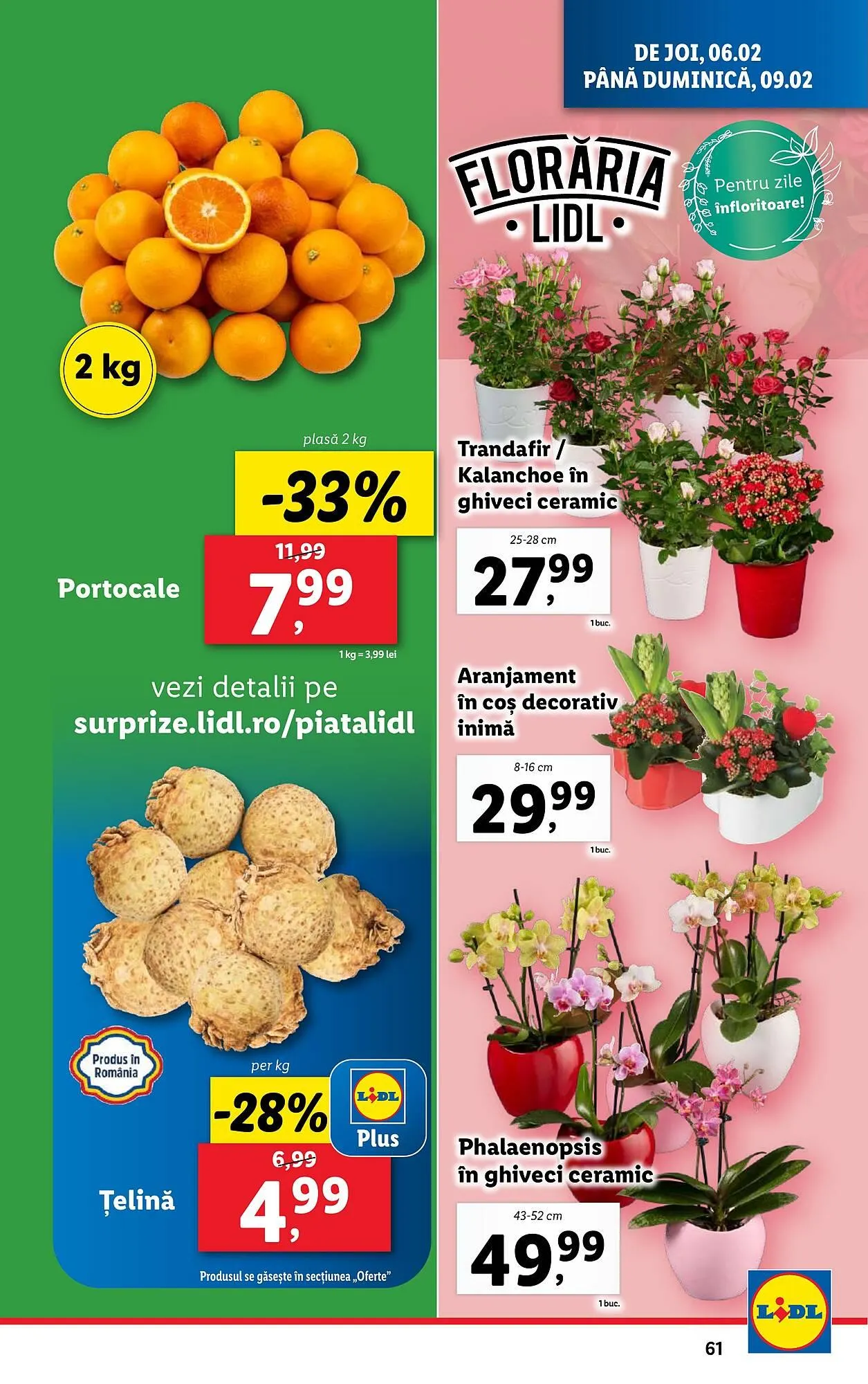 Catalog Catalog Lidl de la 3 februarie până la 9 februarie 2025 - Revista Pagina 61