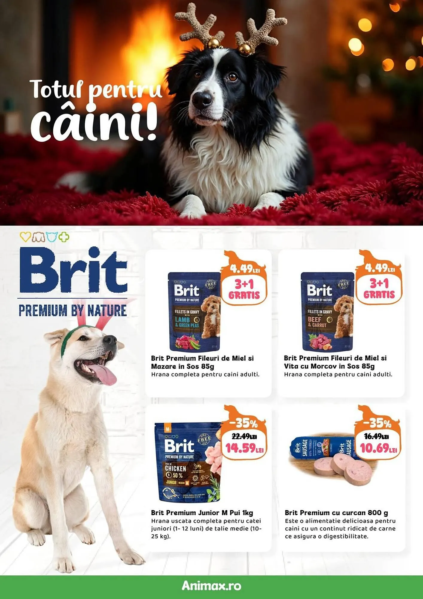 Catalog Magazine Animax de la 4 decembrie până la 4 ianuarie 2026 - Revista Pagina 2