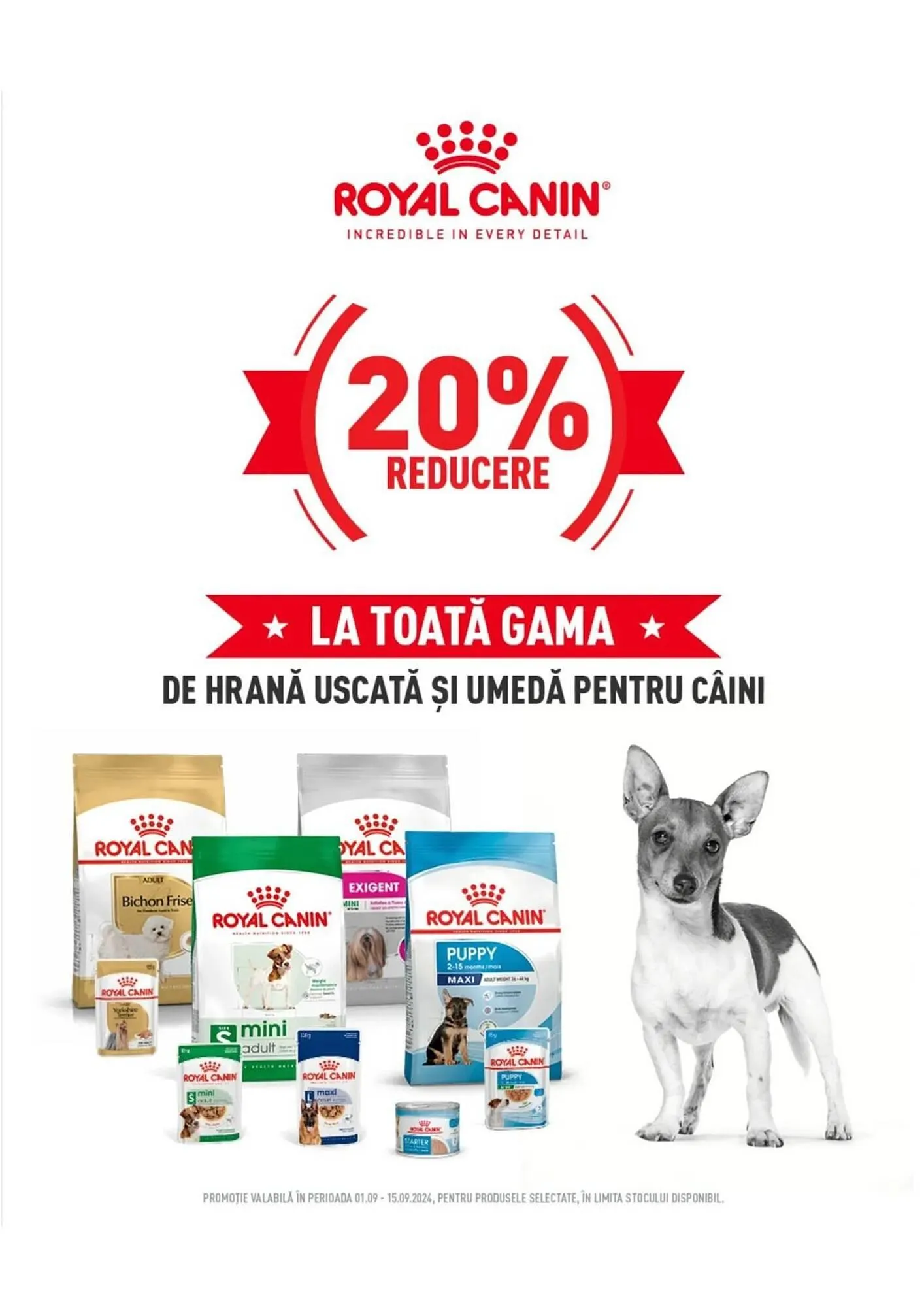 Catalog Catalog Animax de la 2 septembrie până la 30 septembrie 2024 - Revista Pagina 19