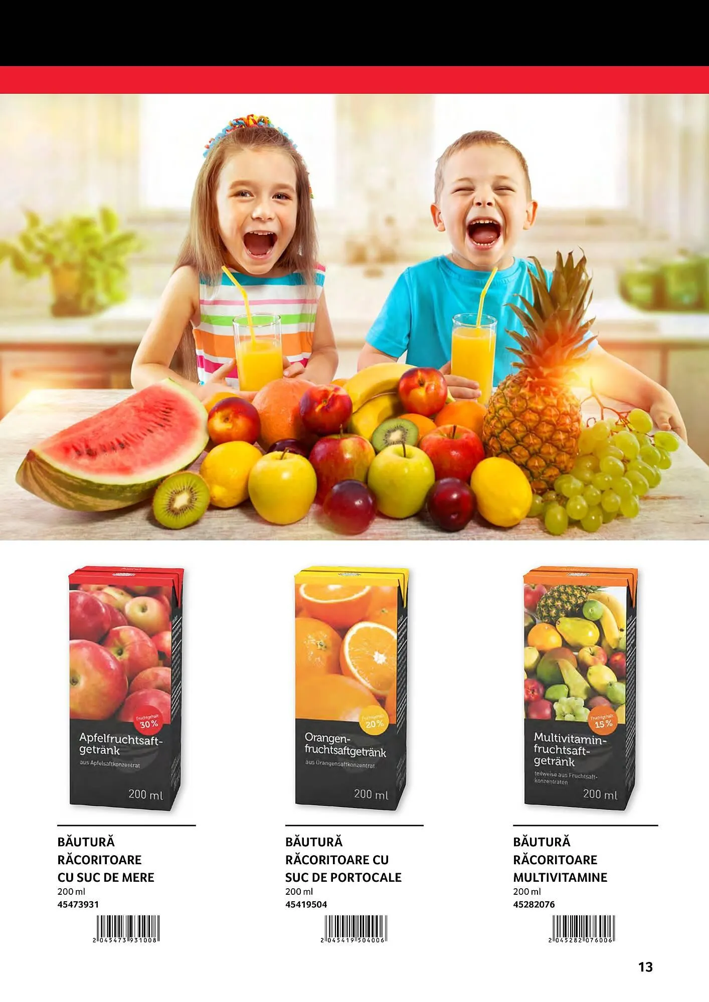 Catalog Selgros catalog de la 2 ianuarie până la 31 decembrie 2023 - Revista Pagina 13