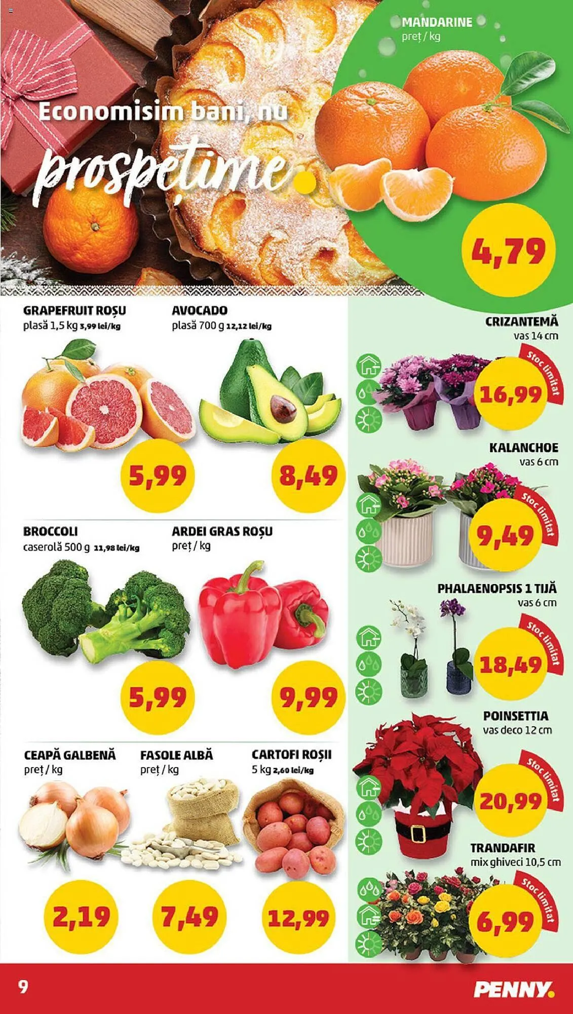 Catalog Penny catalog de la 29 noiembrie până la 5 decembrie 2023 - Revista Pagina 9