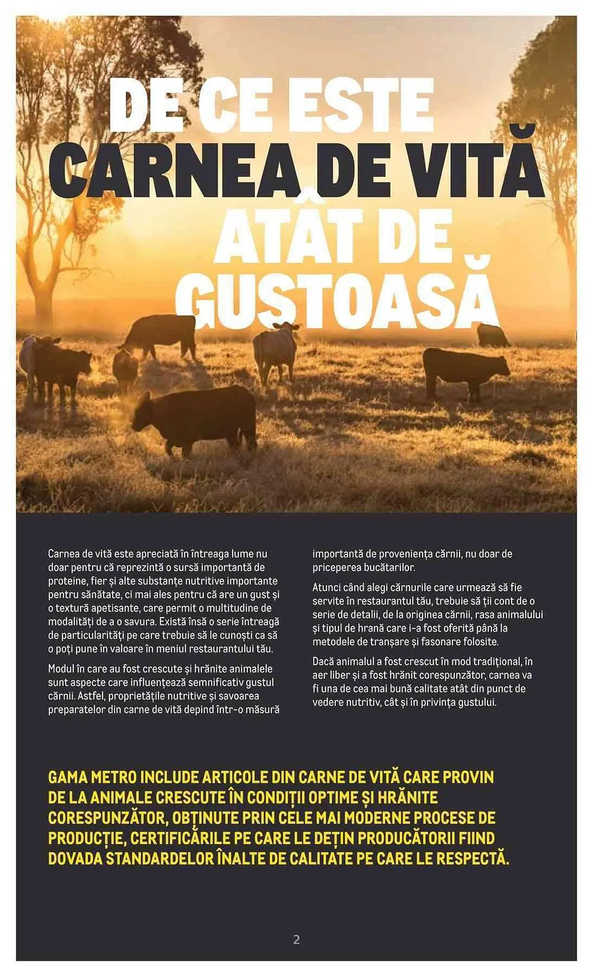 Catalog Metro catalog de la 20 iulie până la 31 decembrie 2023 - Revista Pagina 2