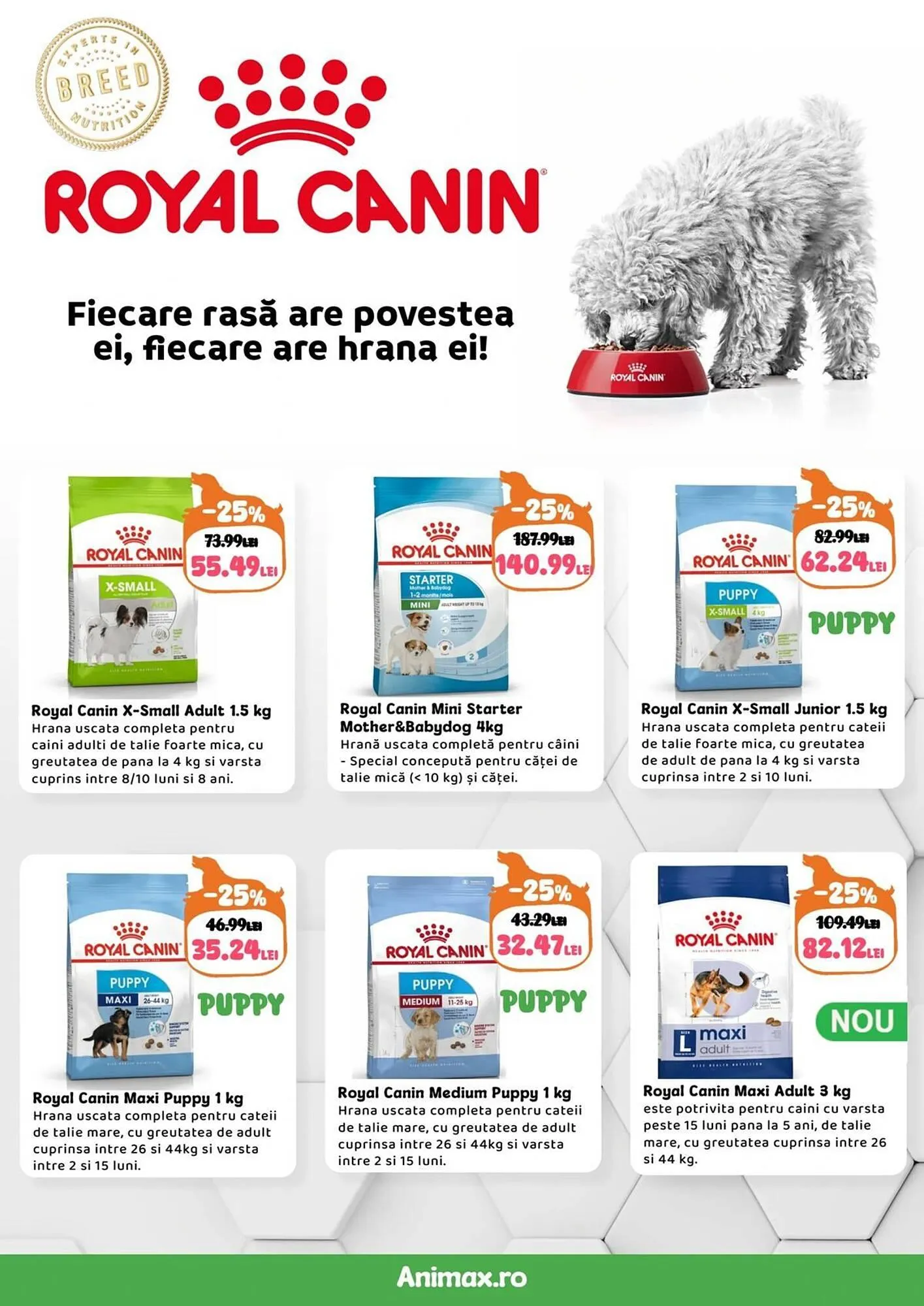 Catalog Magazine Animax de la 1 octombrie până la 31 octombrie 2025 - Revista Pagina 8